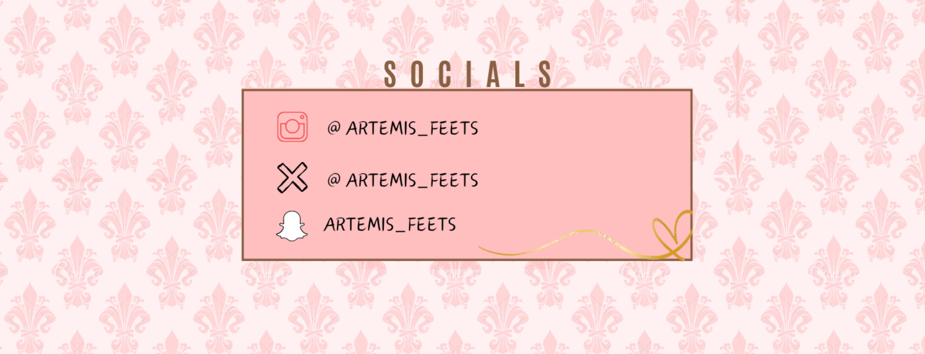 Princess Artemis ๐ banner image