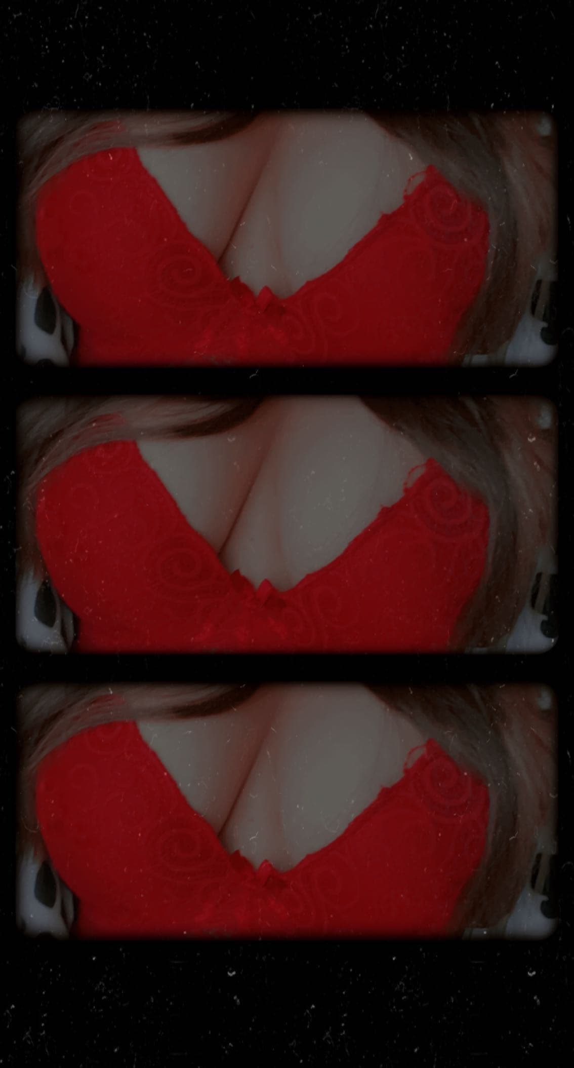 Daniela banner image