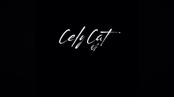 CelyCat banner image