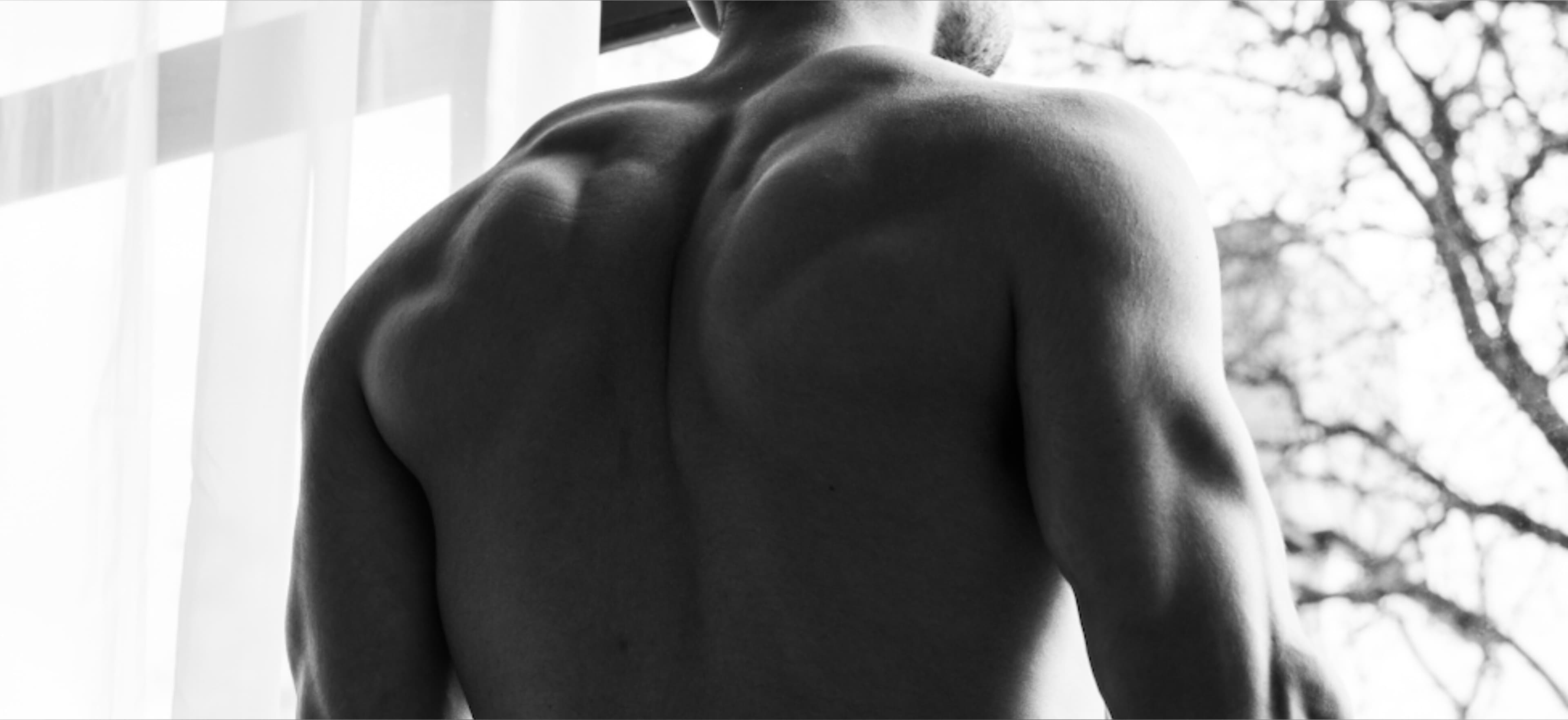 ELIAS banner image