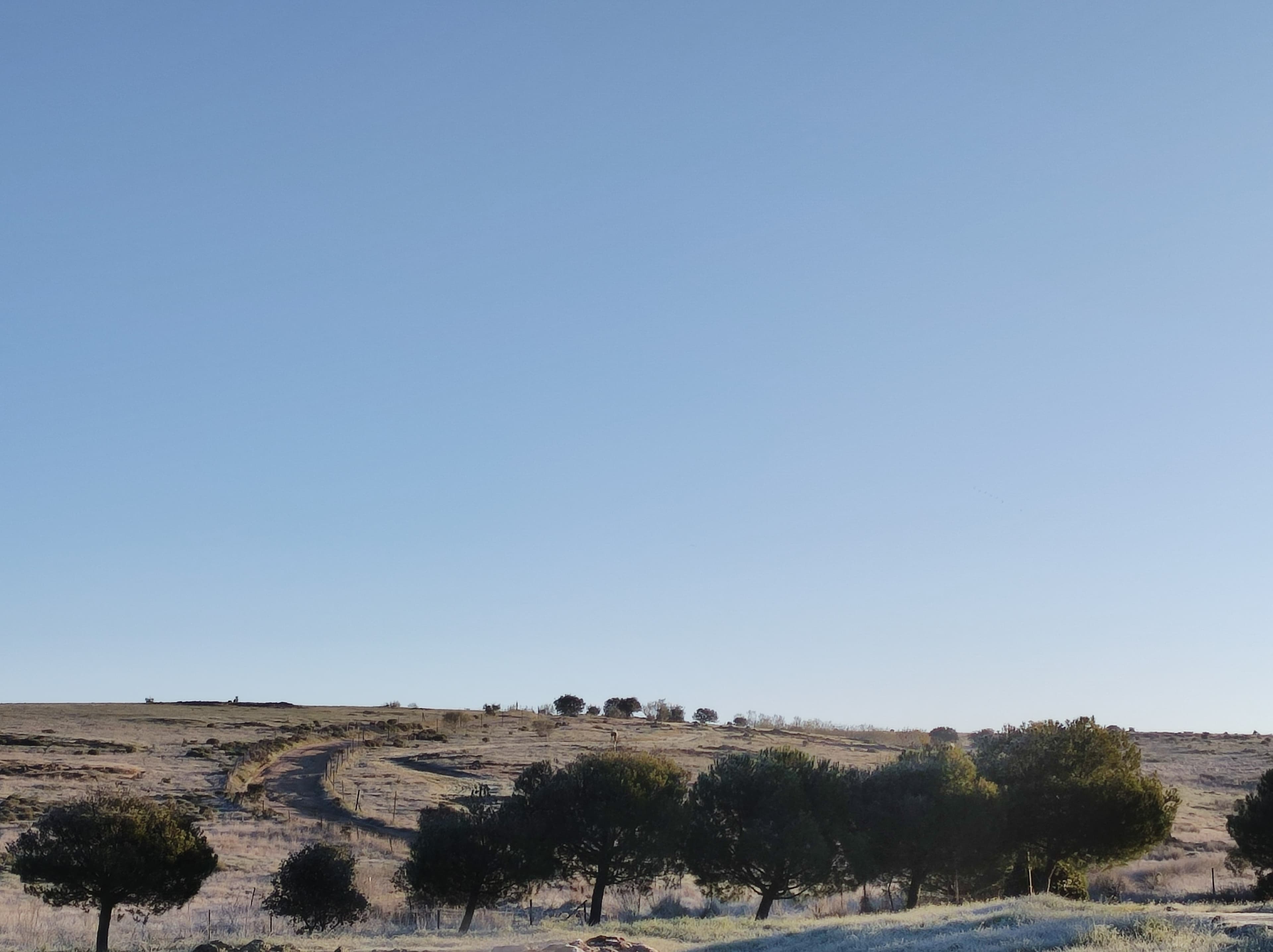 Kink_Ludo banner image