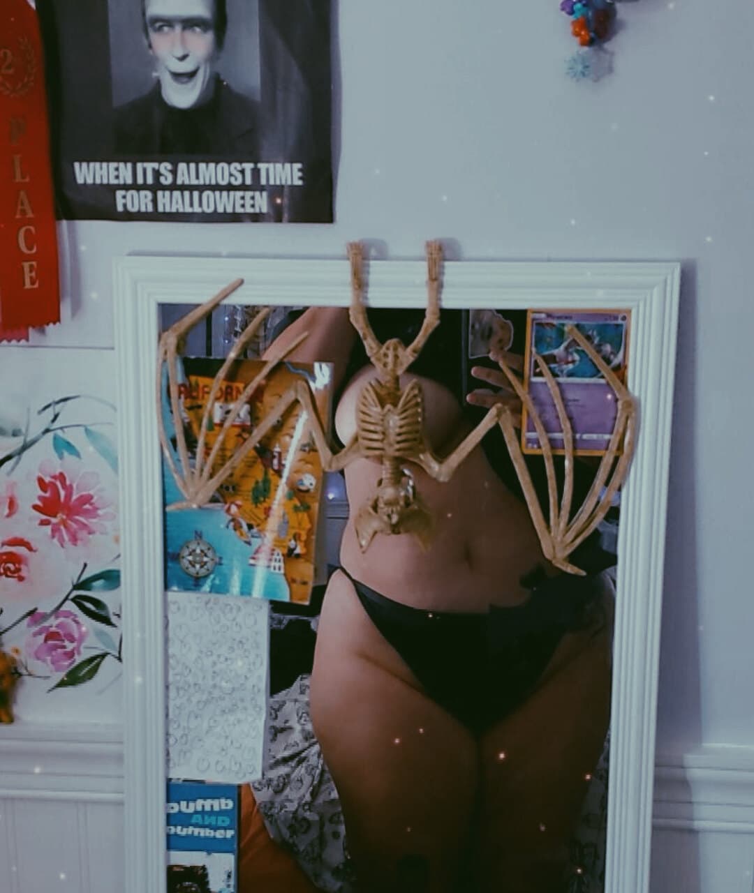 Miss Riss banner image