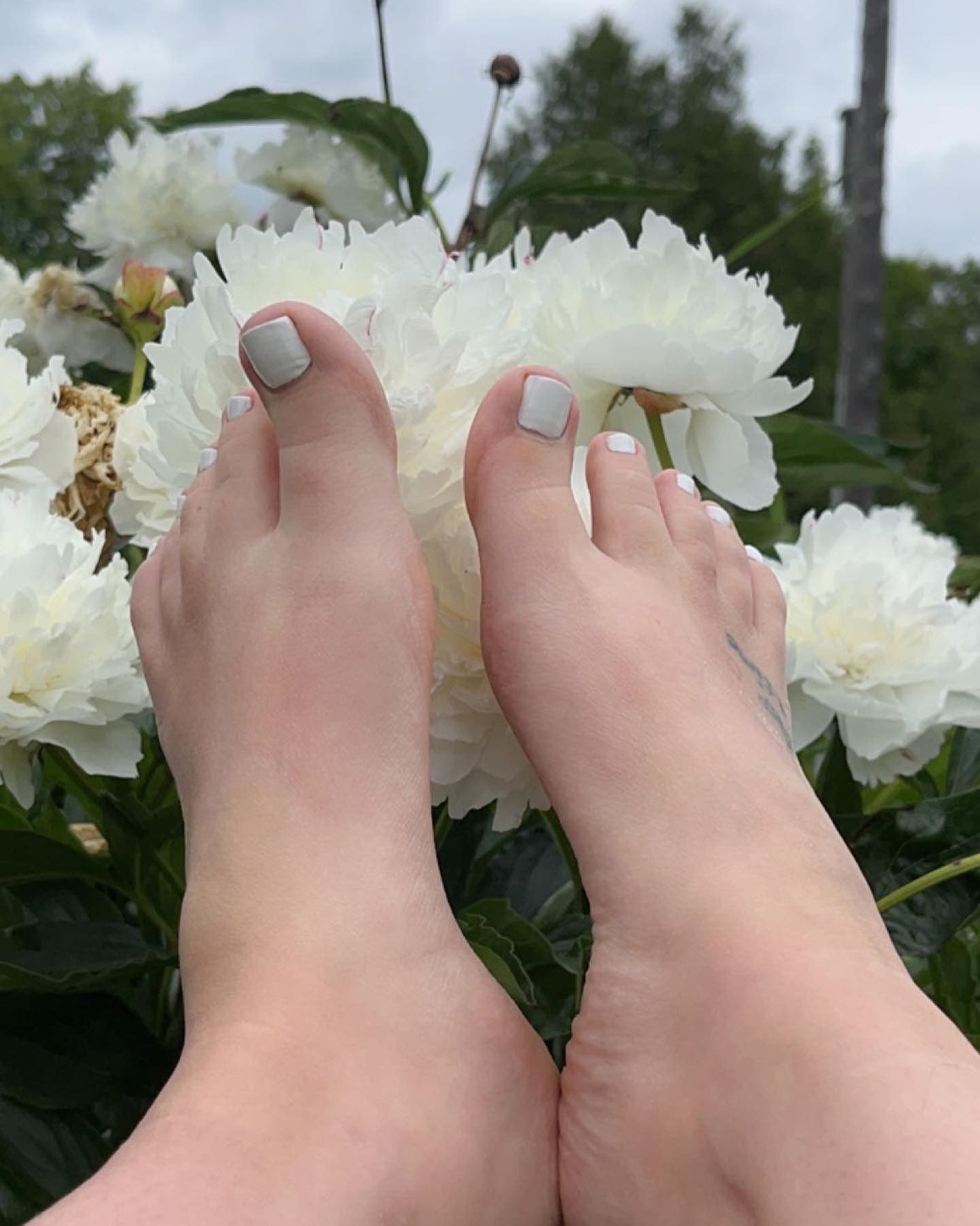 sugar.sweetsoles banner image