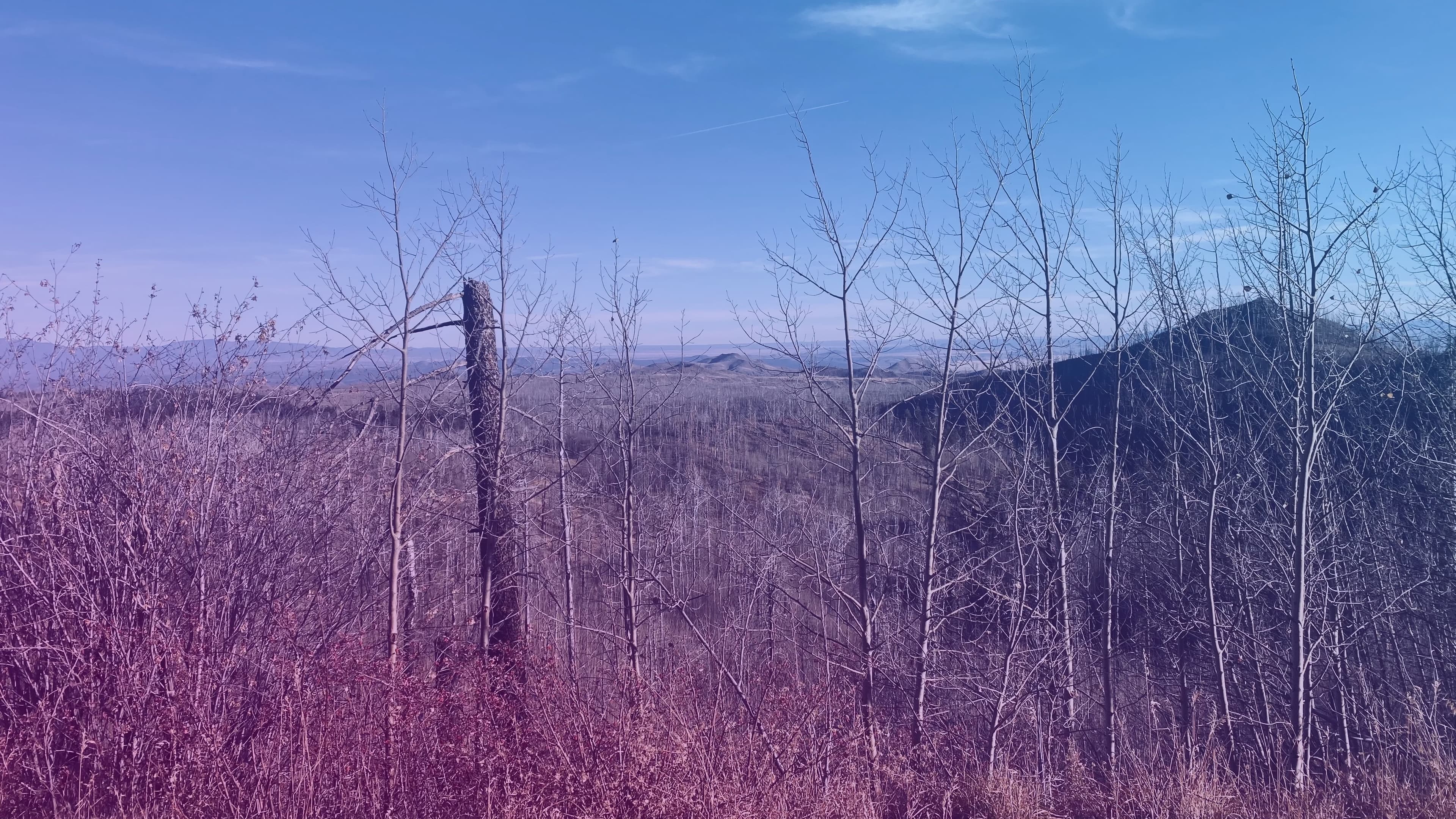 Mercury banner image