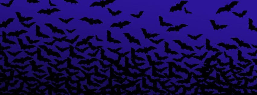 Temptress Gigi banner image