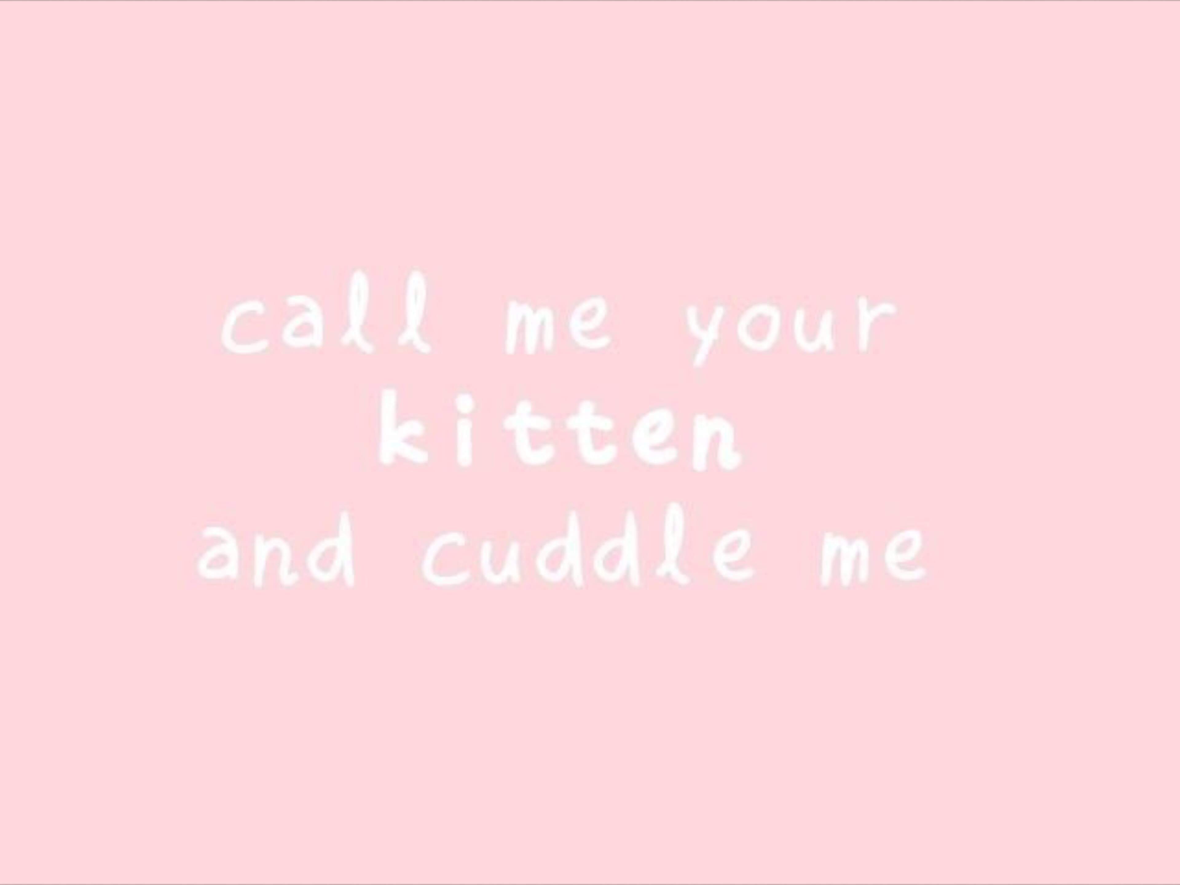 Madame Kitty Mauw banner image