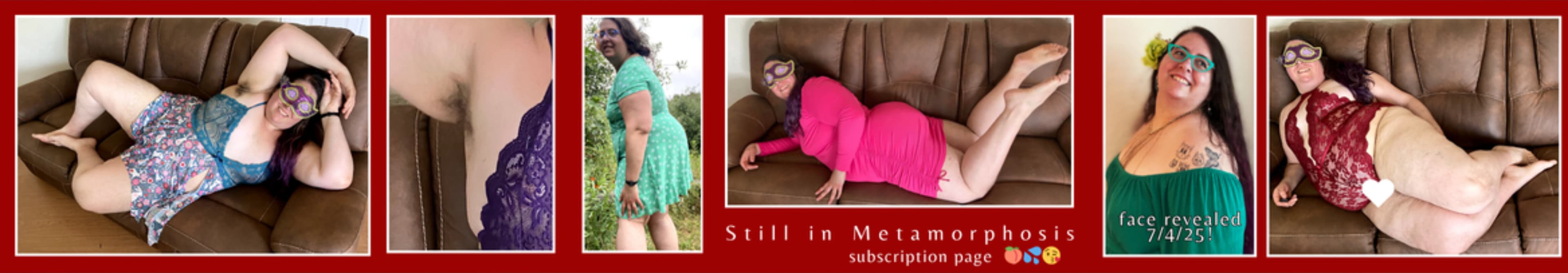 Still in Metamorphosis banner image