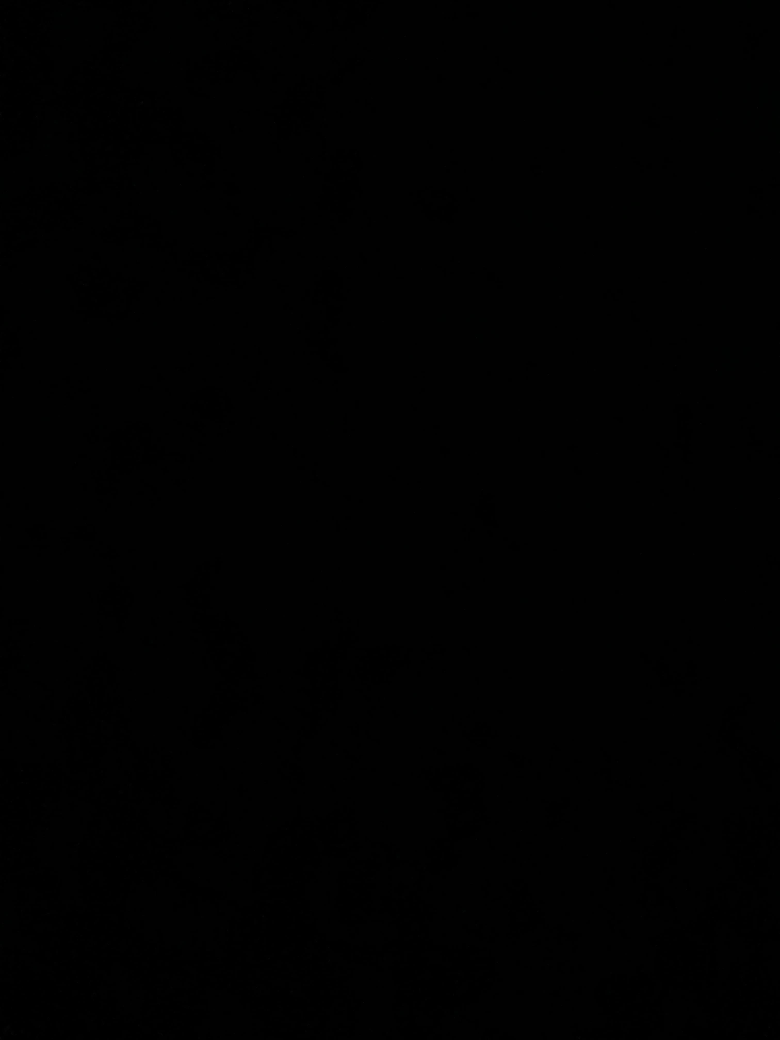 Brandon Allen banner image