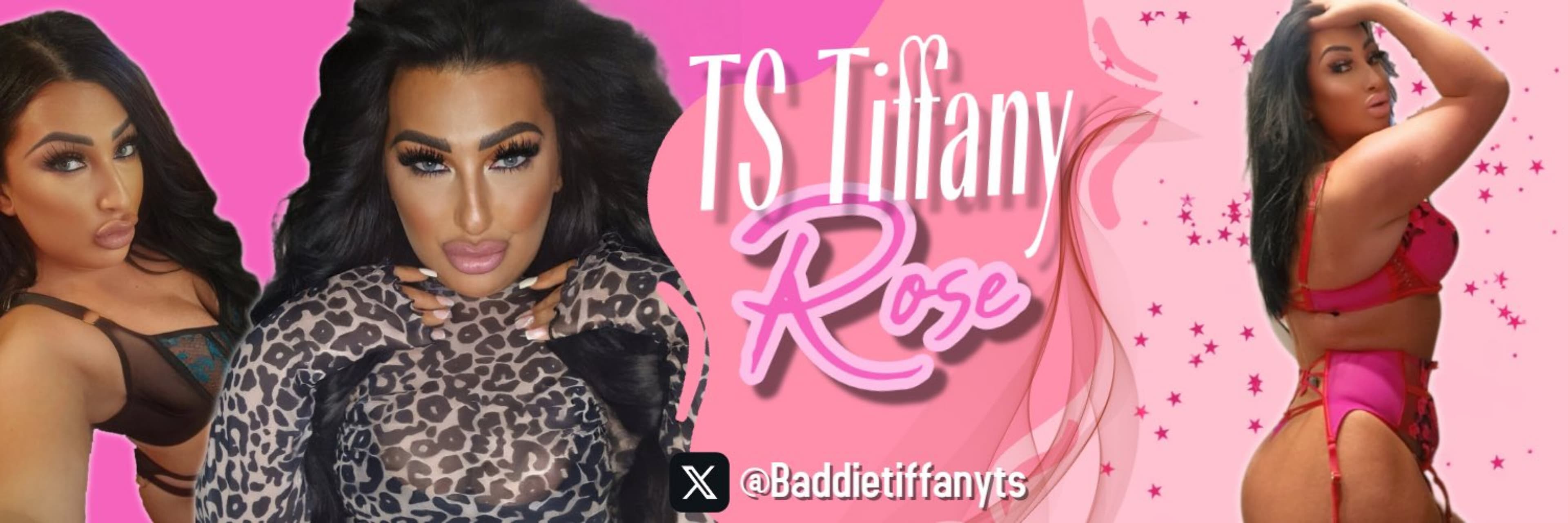 The Tiffany Rose 🥀 banner image