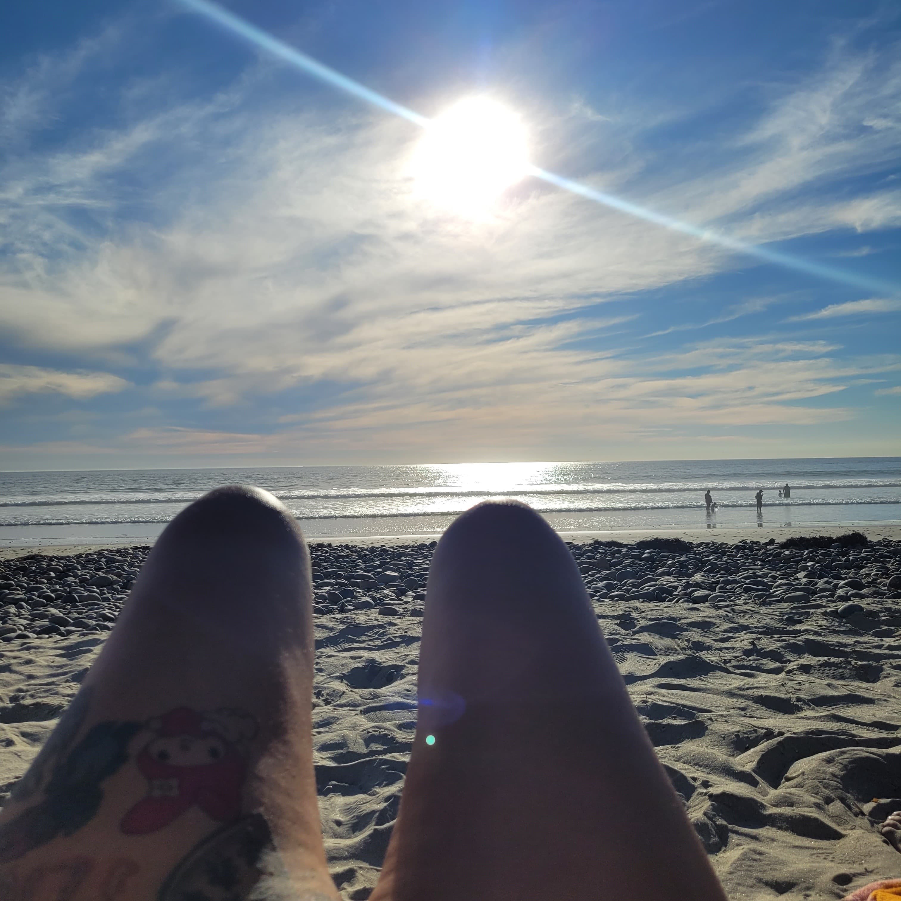 SunshineDreams banner image