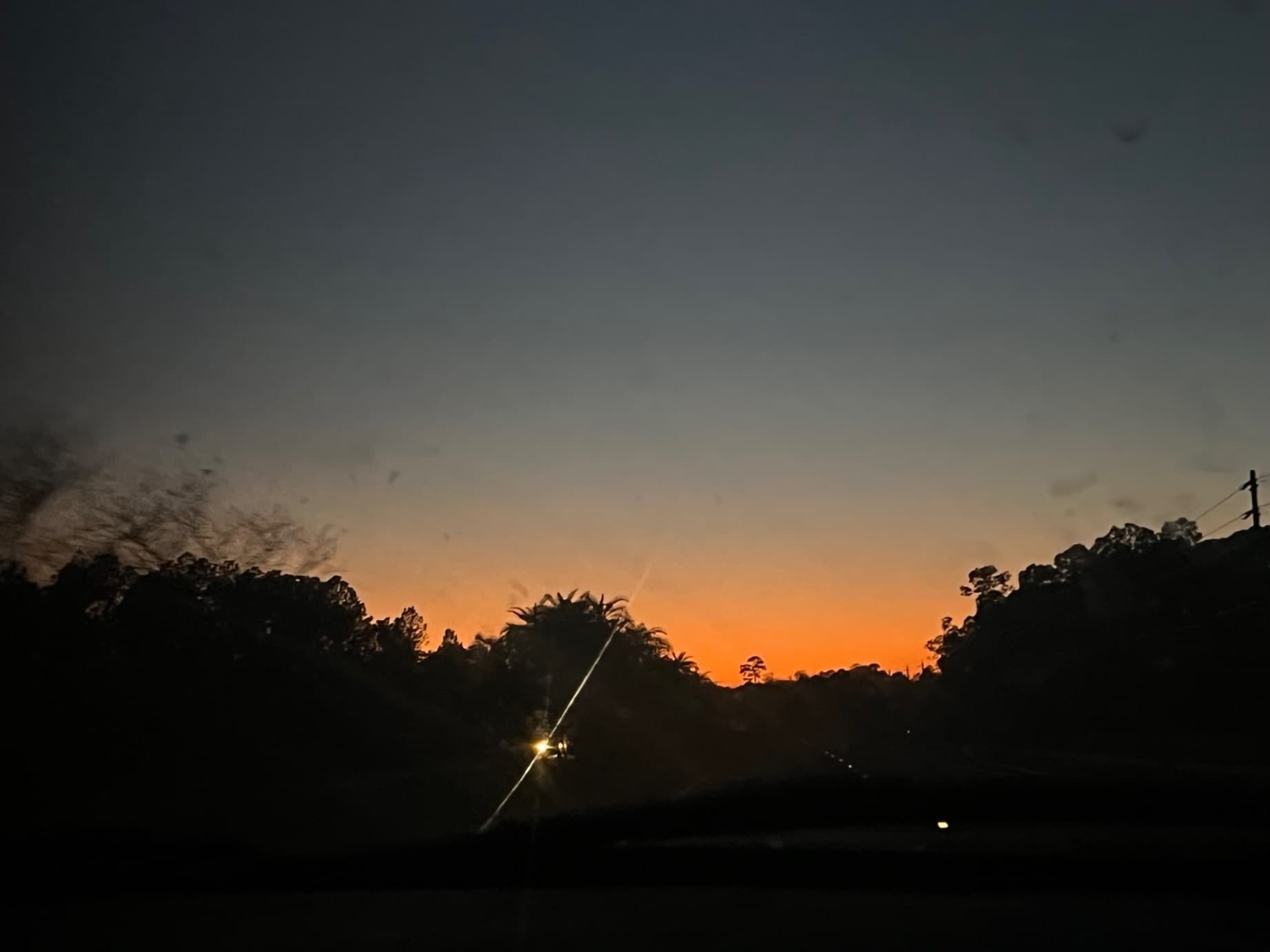 Cheyanne banner image