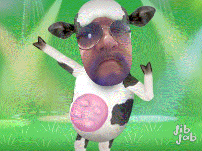 ๐ฎ Stripper Cow ๐ banner image