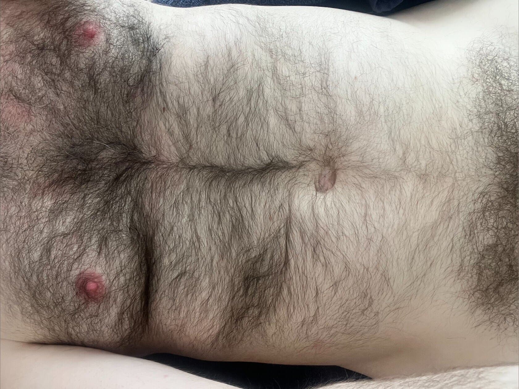 Hairy Bear banner image