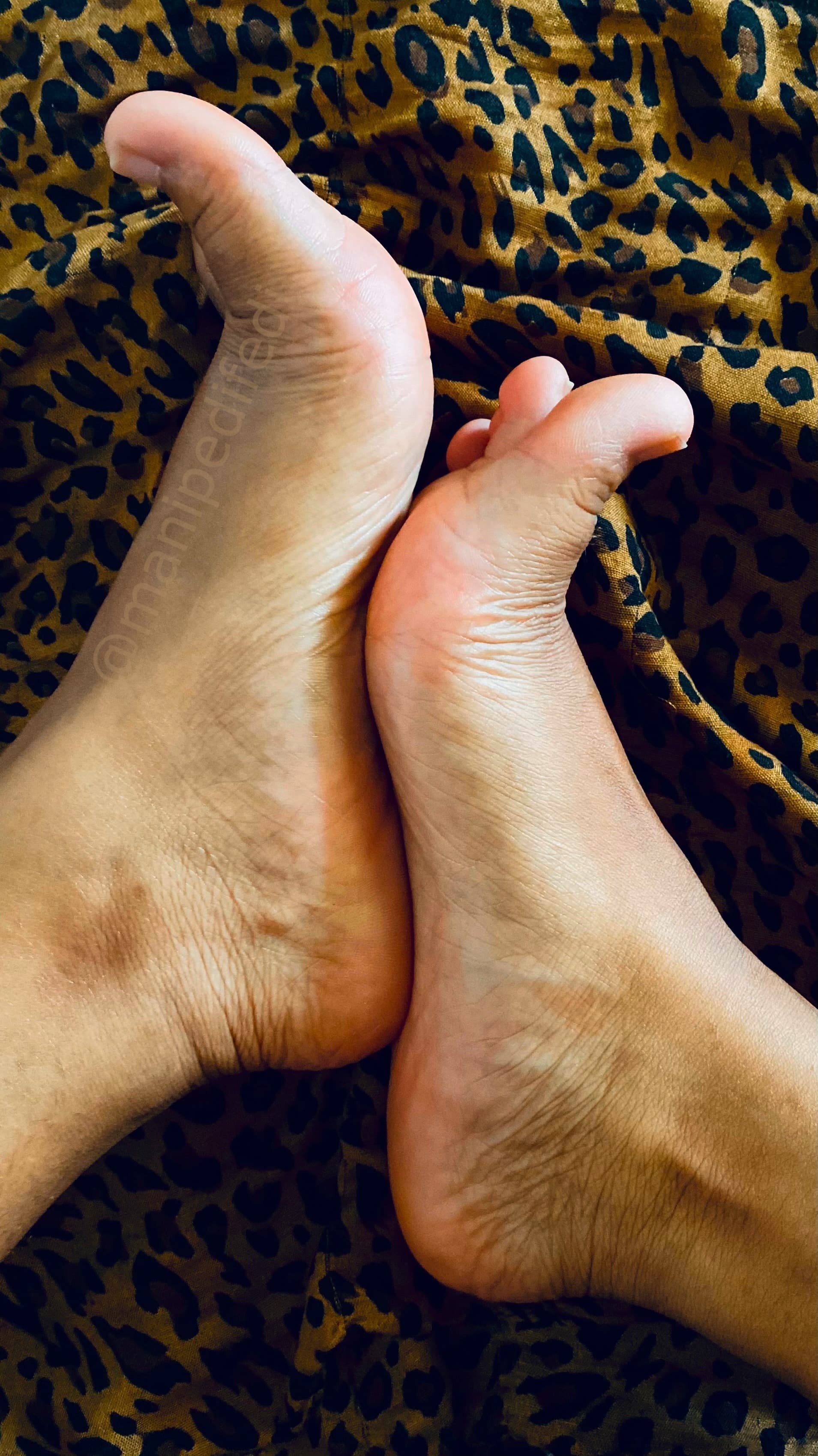 ManiPedi banner image