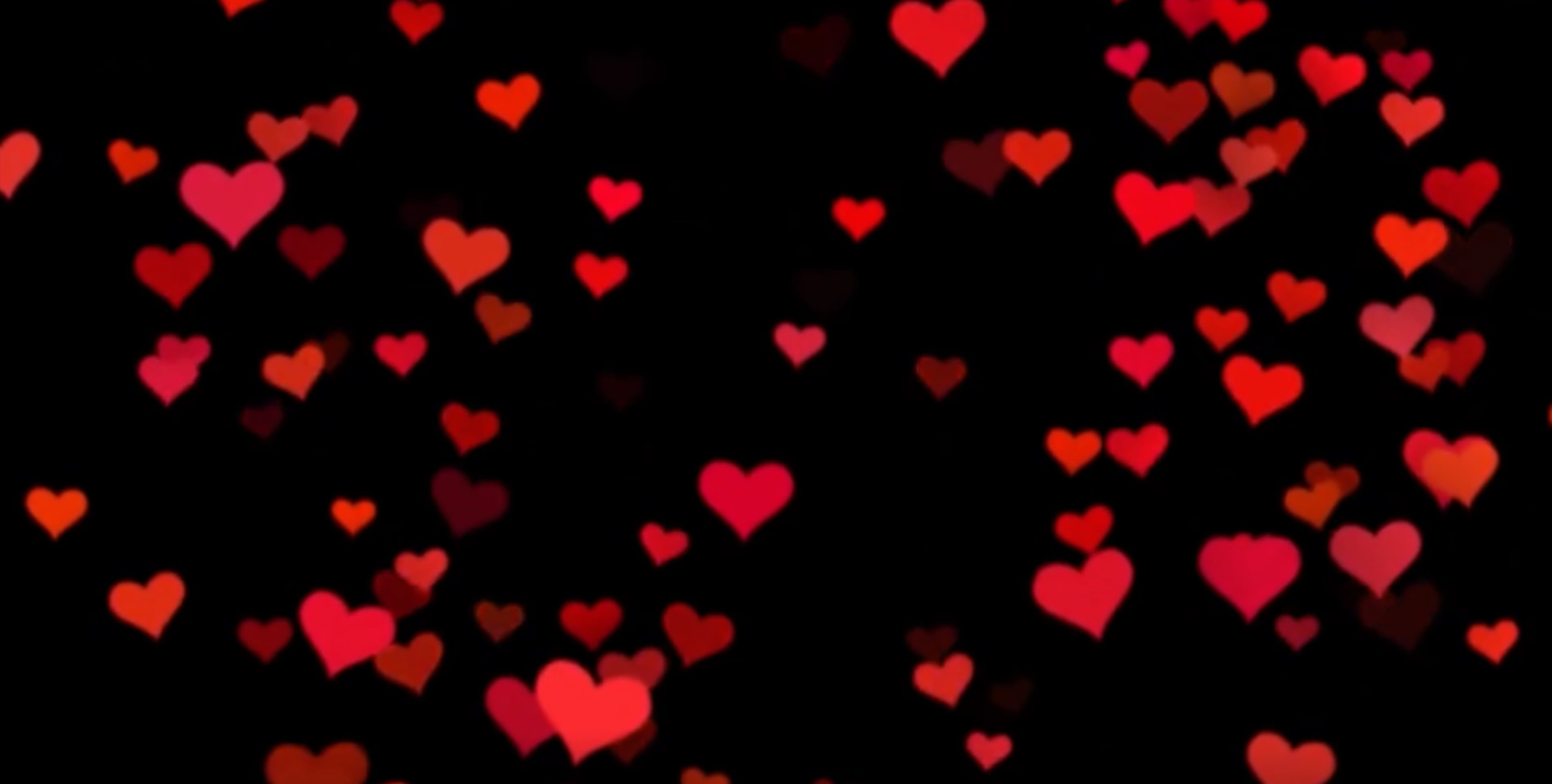 TheDreamer banner image