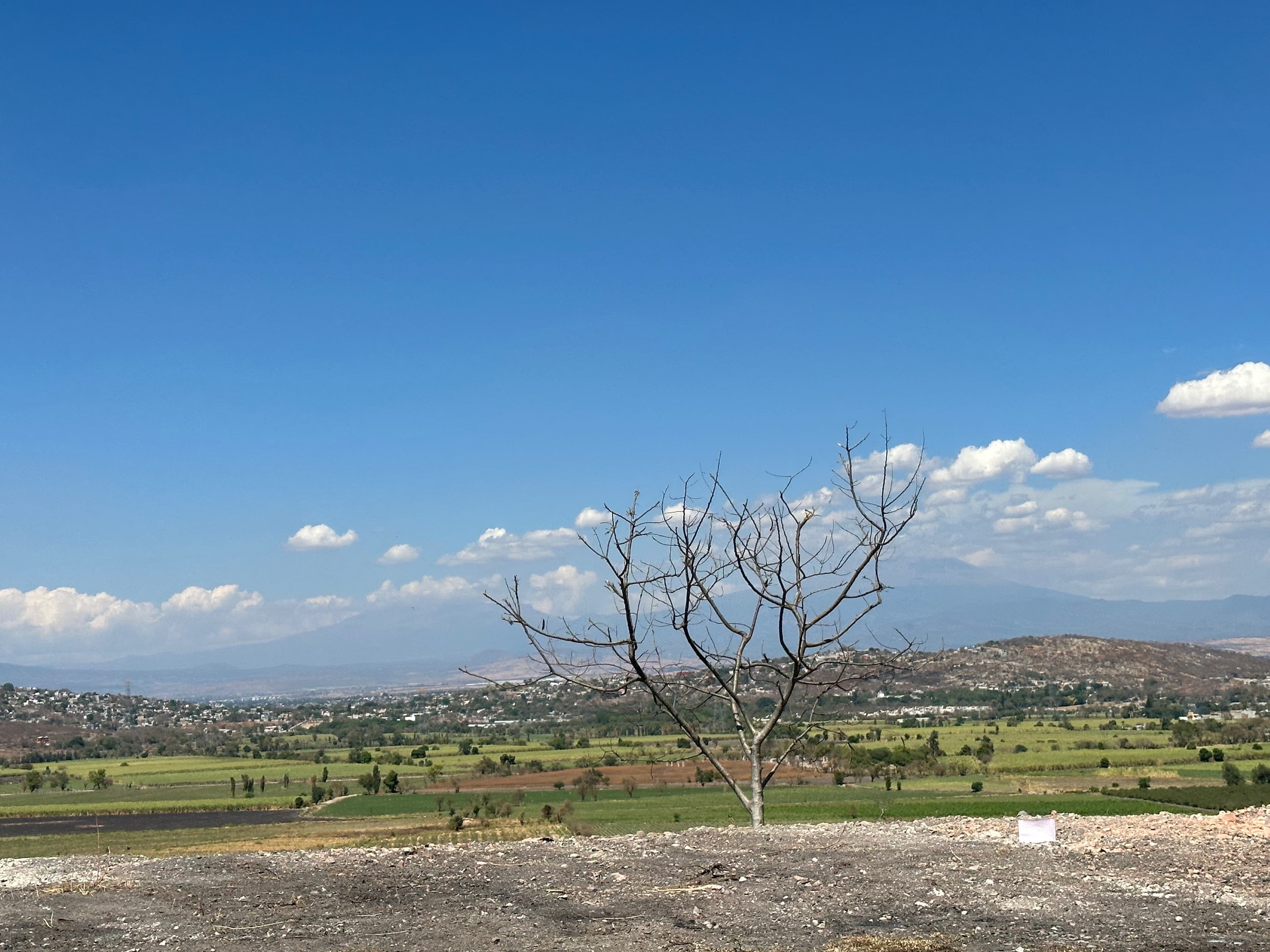 Neni banner image