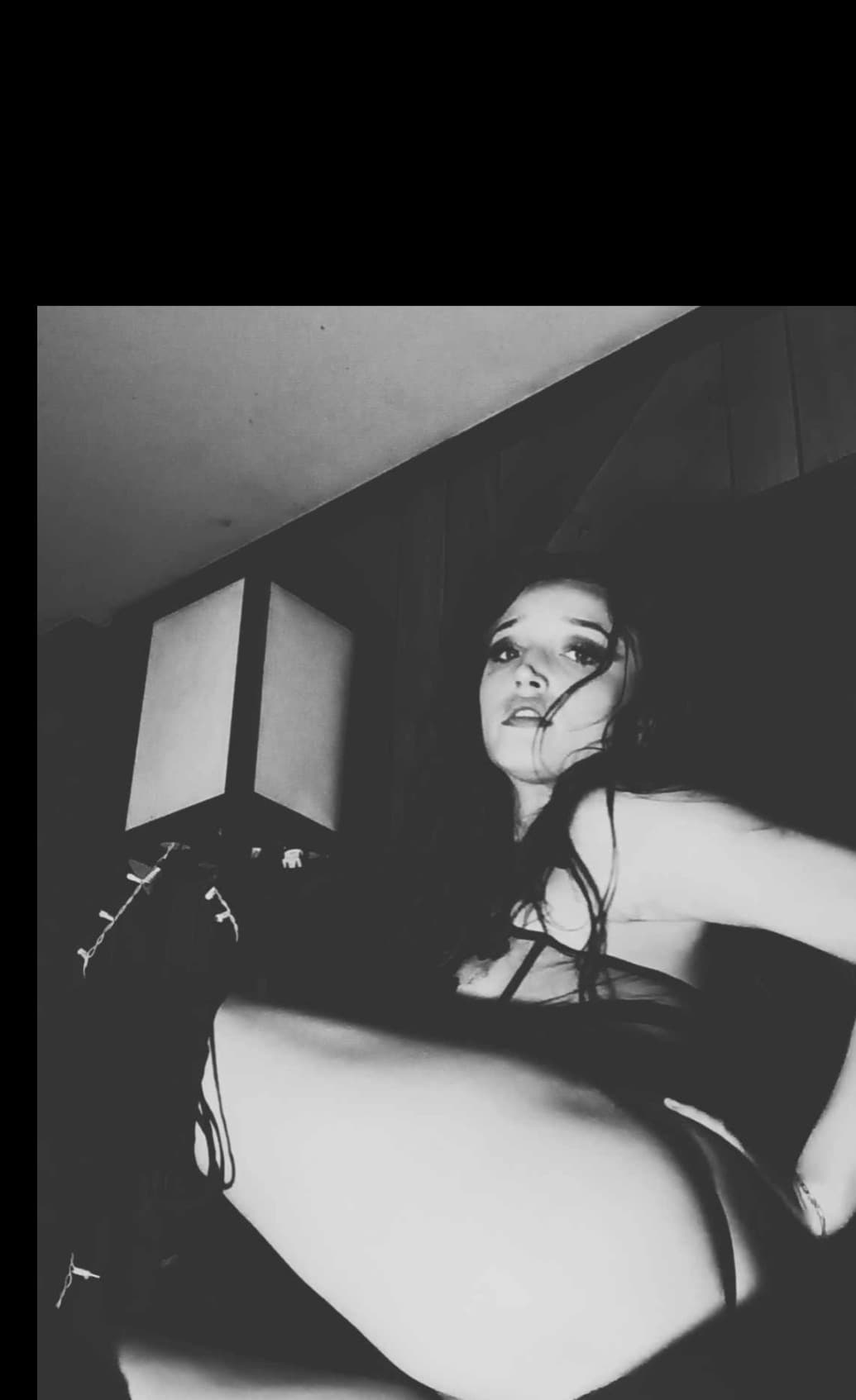 Allycat banner image