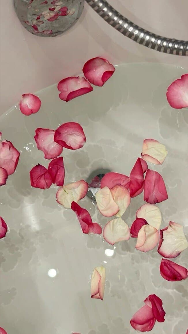 Ninfa Rosa 🌹 banner image