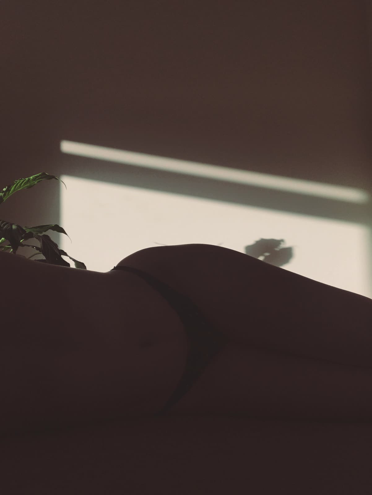 Aubrey Adam banner image