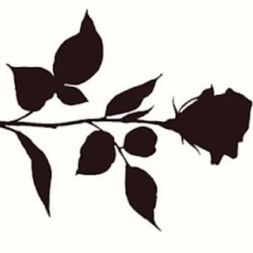 ๐น banner image