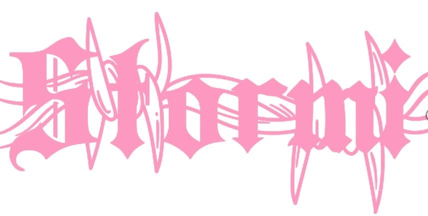 Stormi <3 banner image