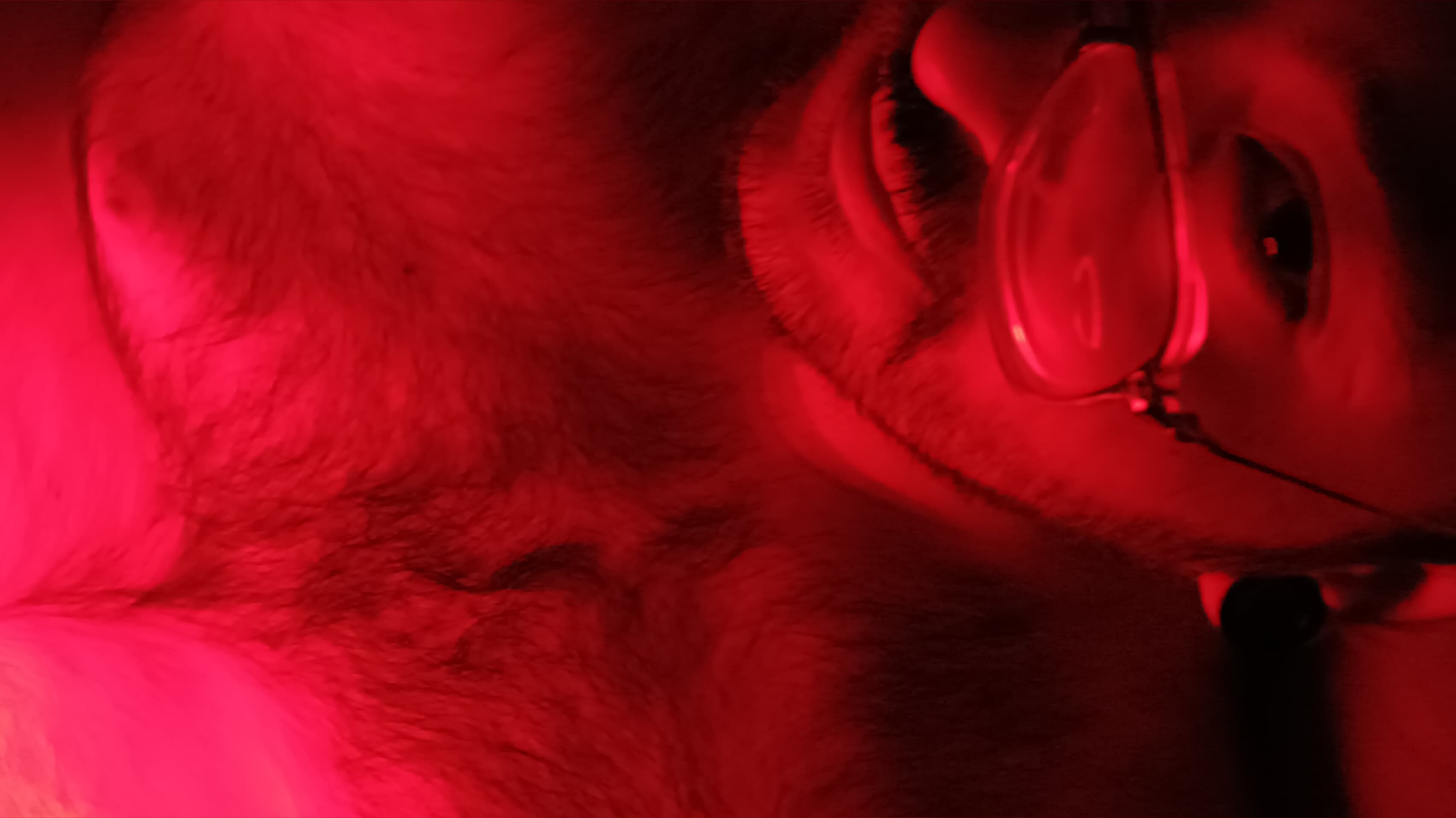 Dad Bod Behr banner image
