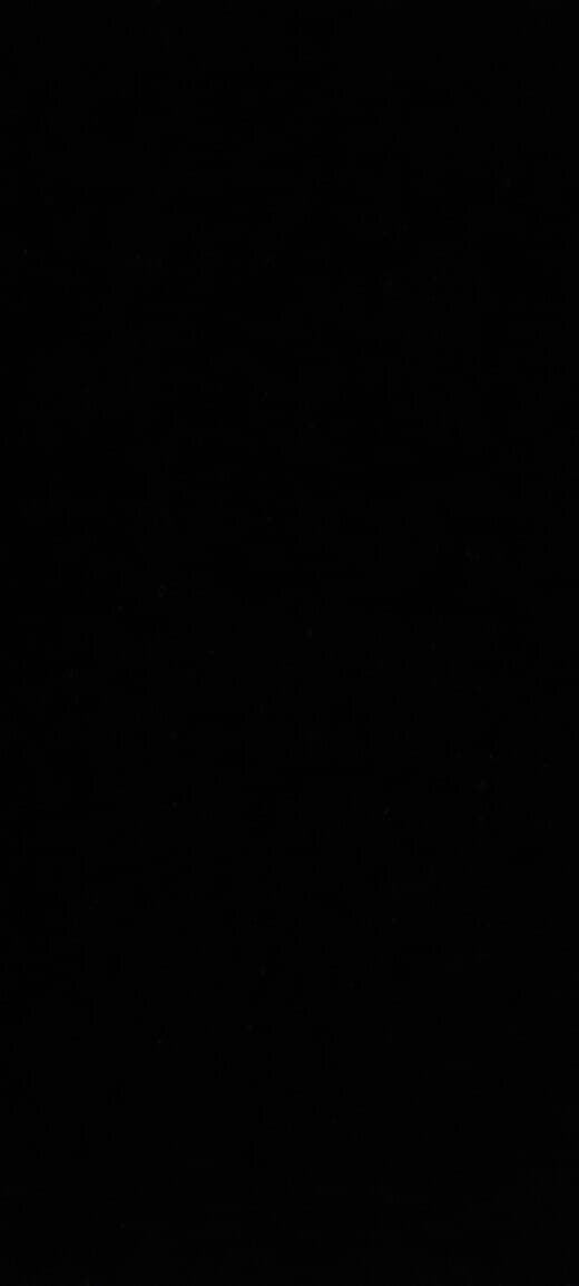 Nicole banner image