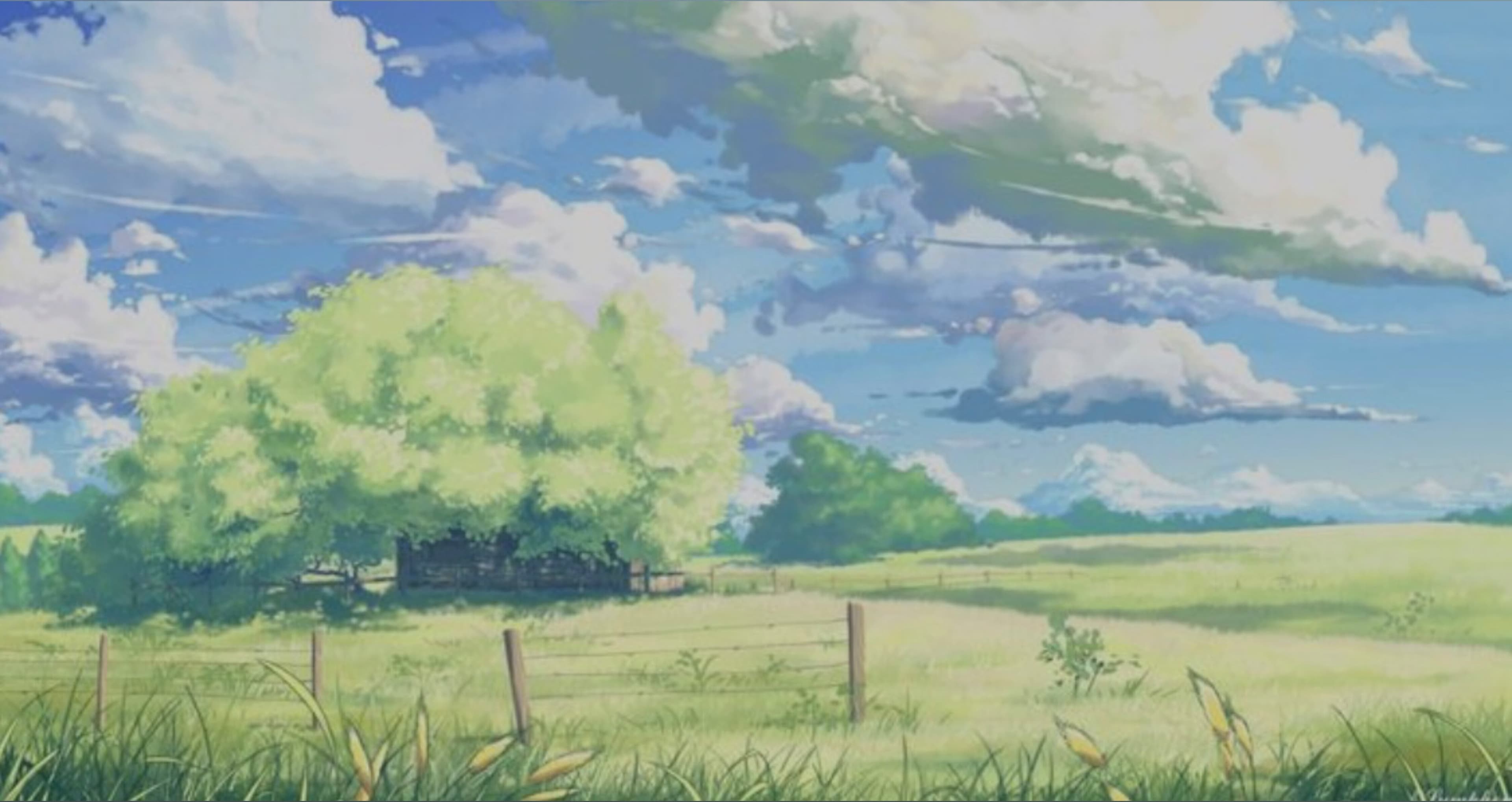 LilyZi banner image