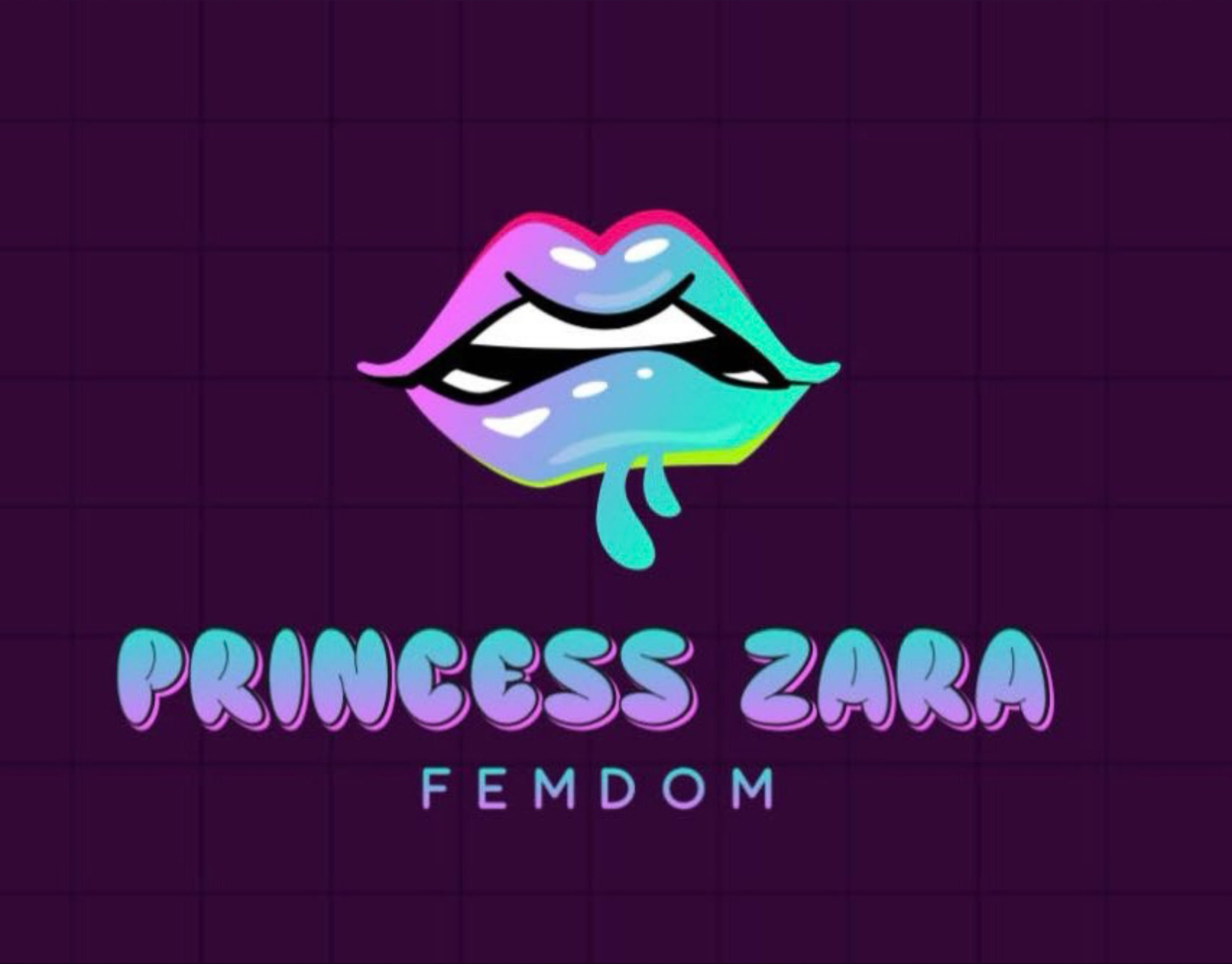 Princess Zara banner image