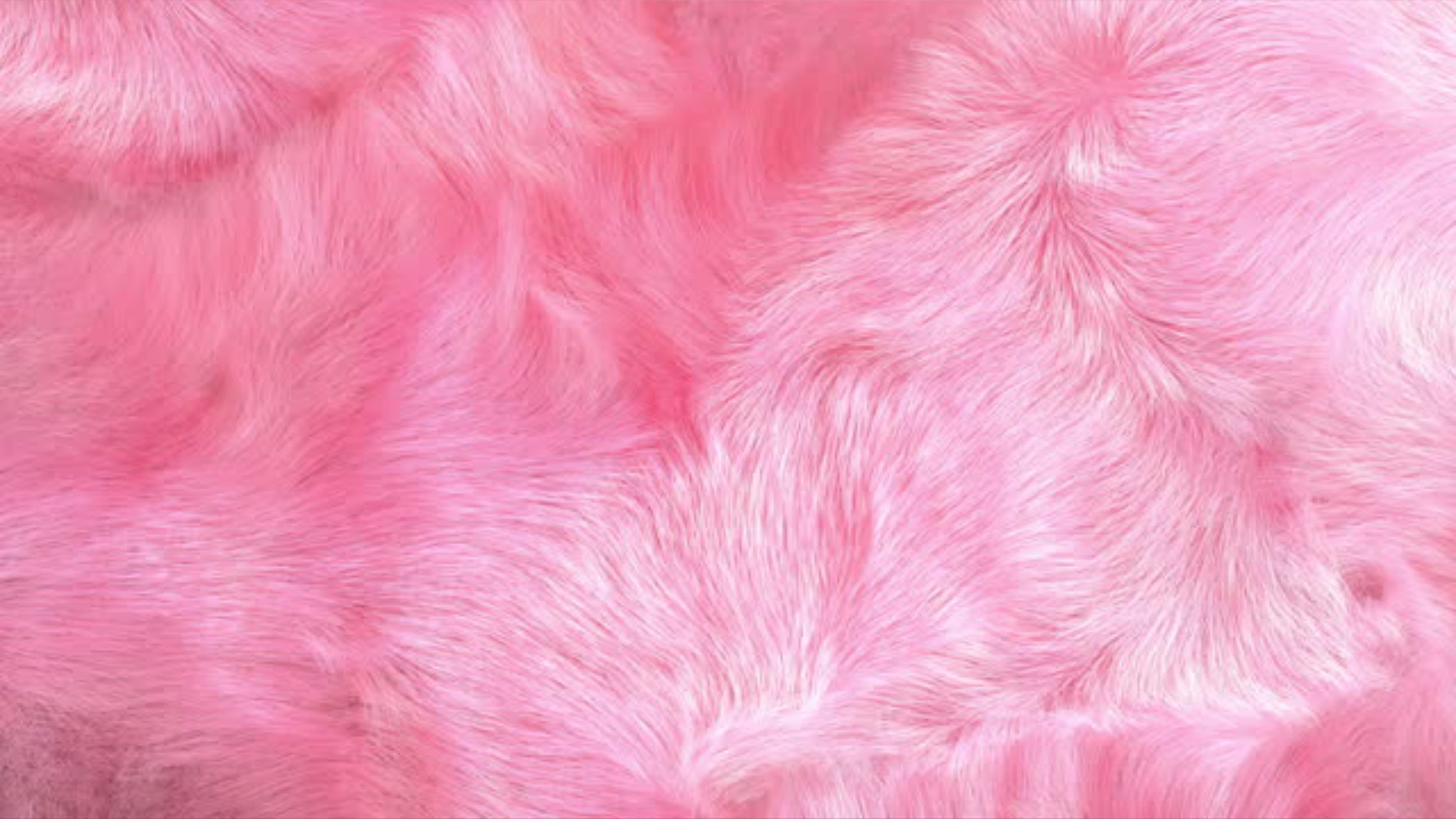 Yesi LH banner image