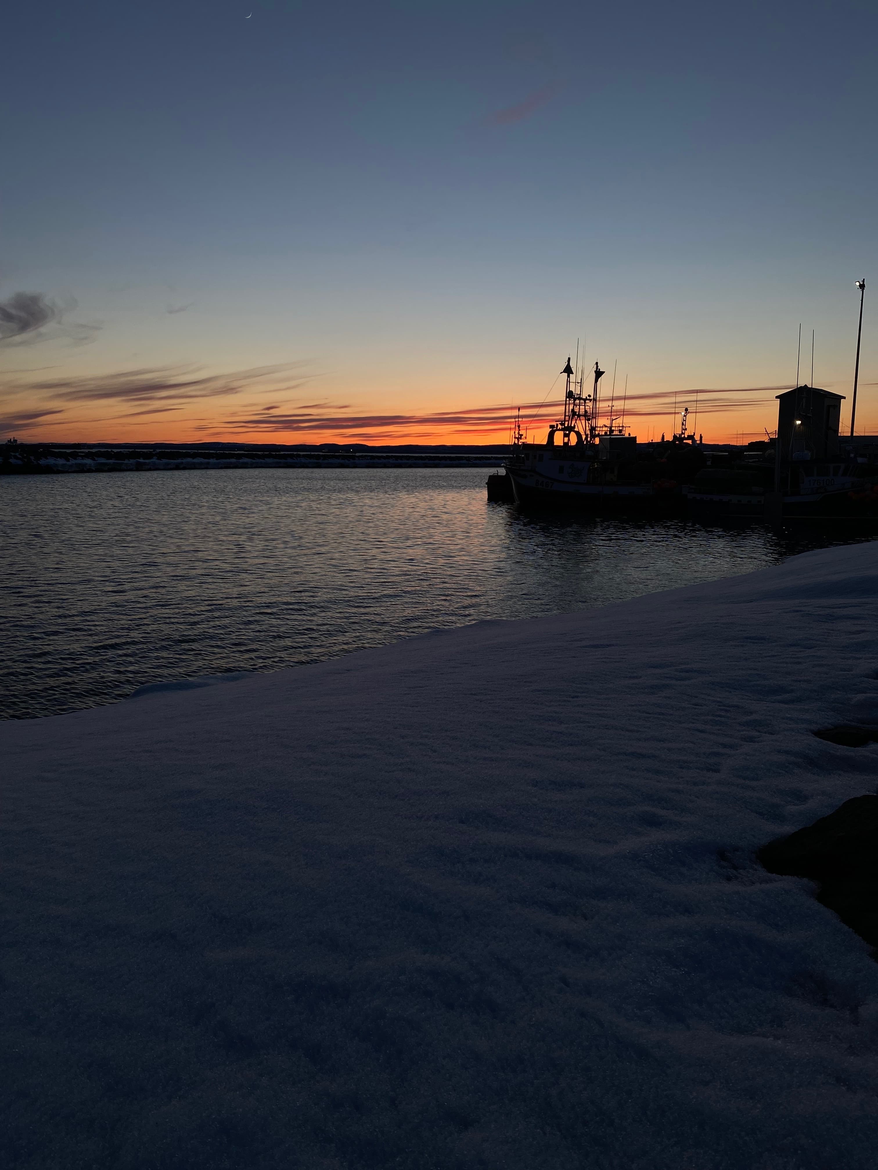 Jessica banner image