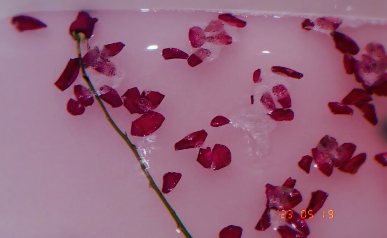 Briana banner image