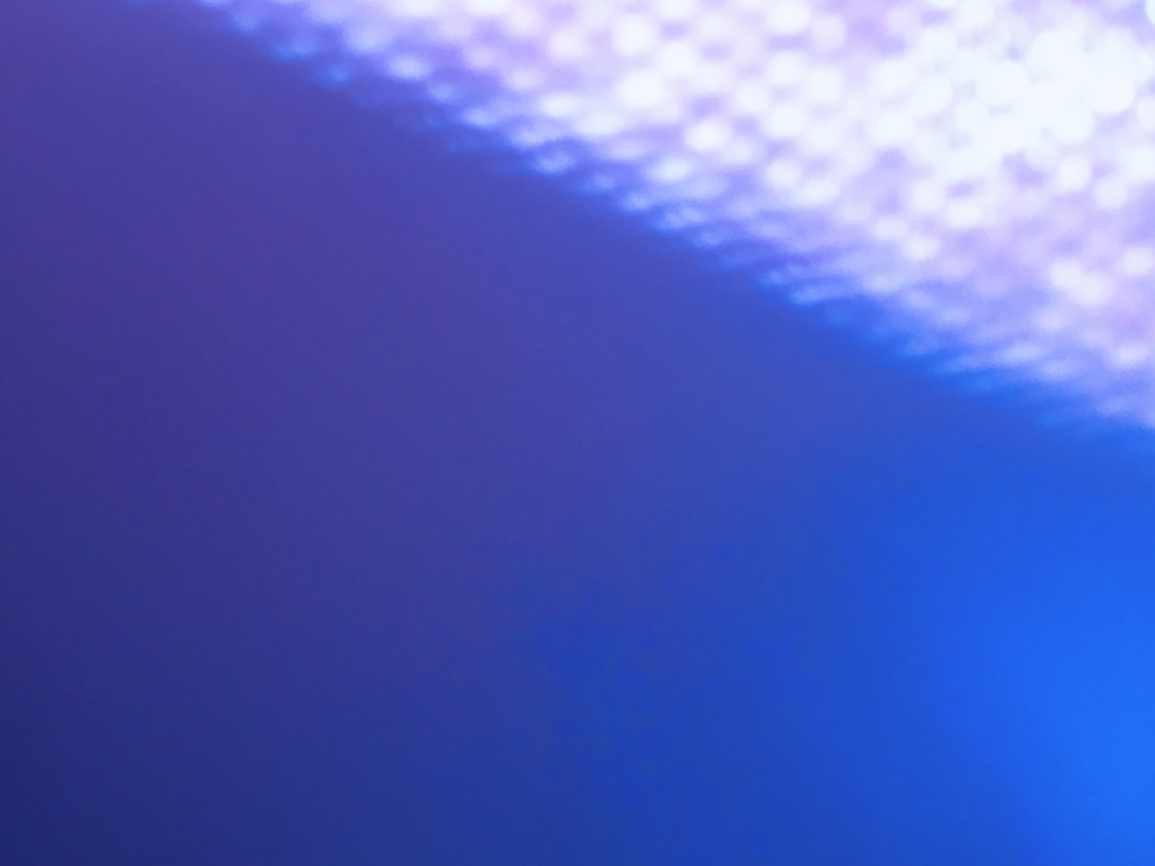 slimequeen banner image
