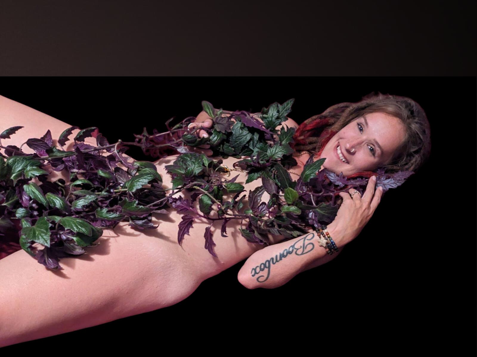 Fun with Fern banner image