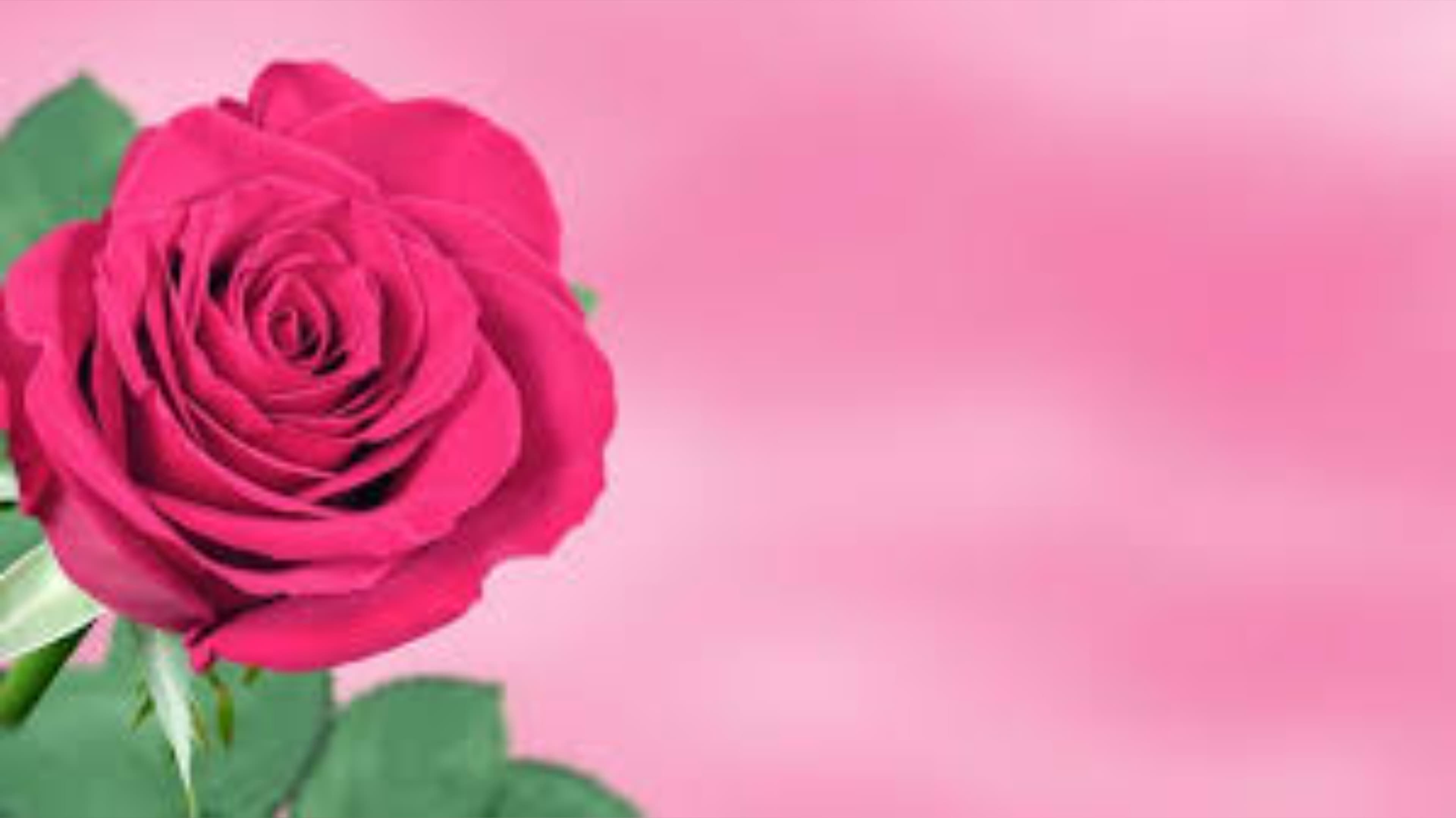 Milenia banner image