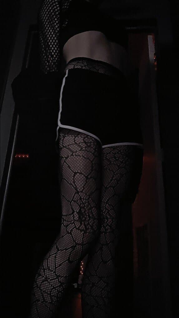 Ayla banner image