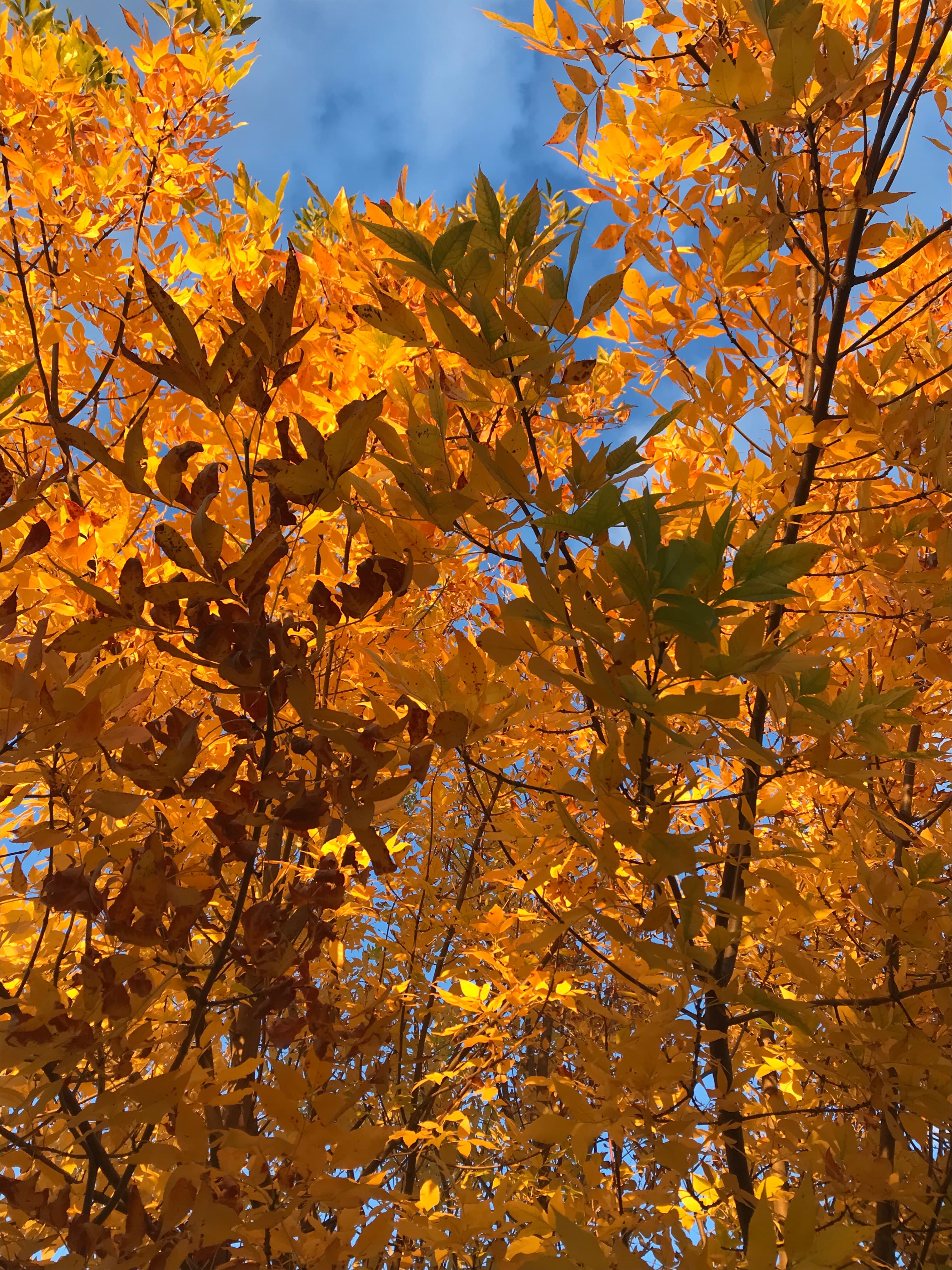 Дарья banner image