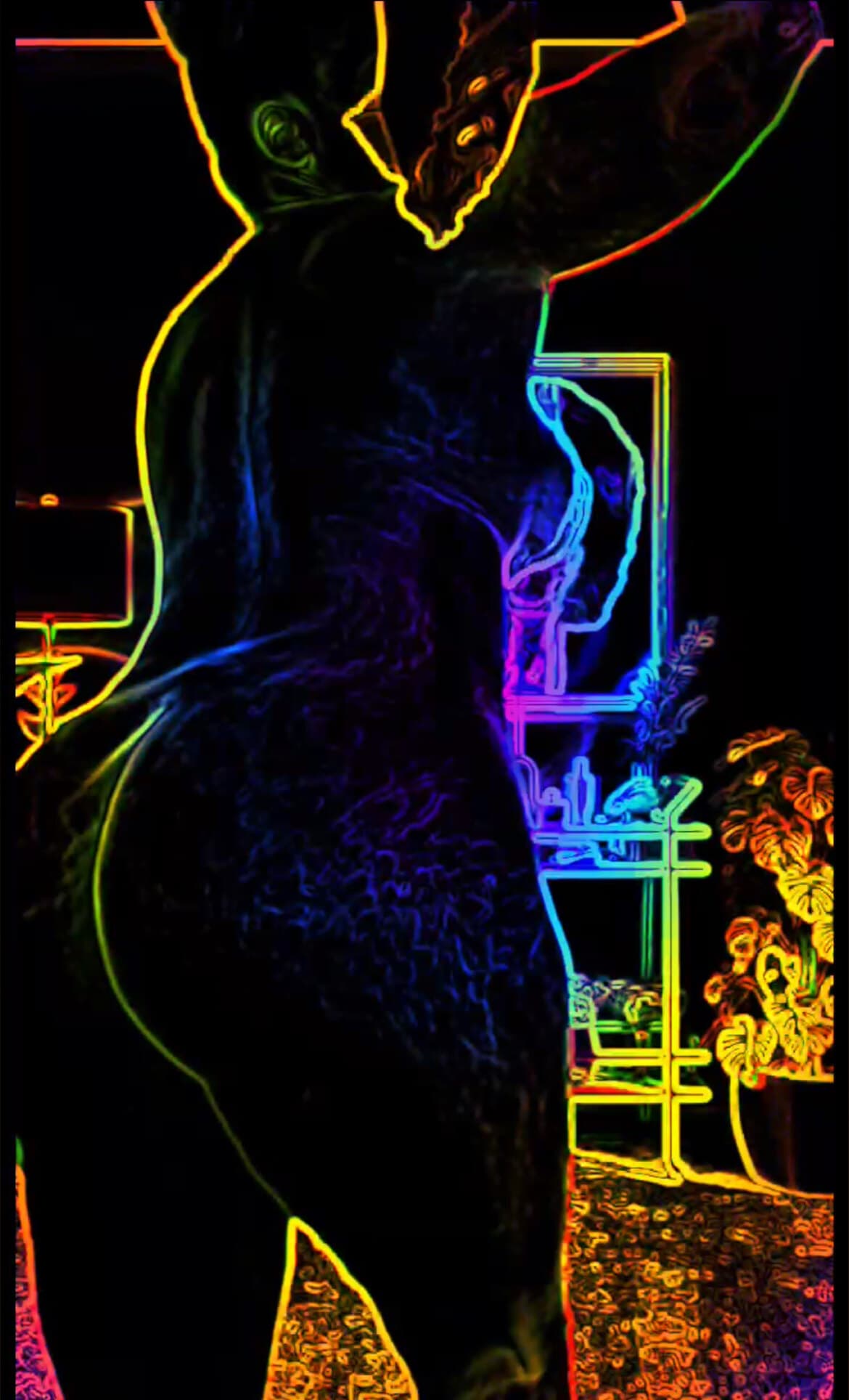 ChocolateButterfly banner image