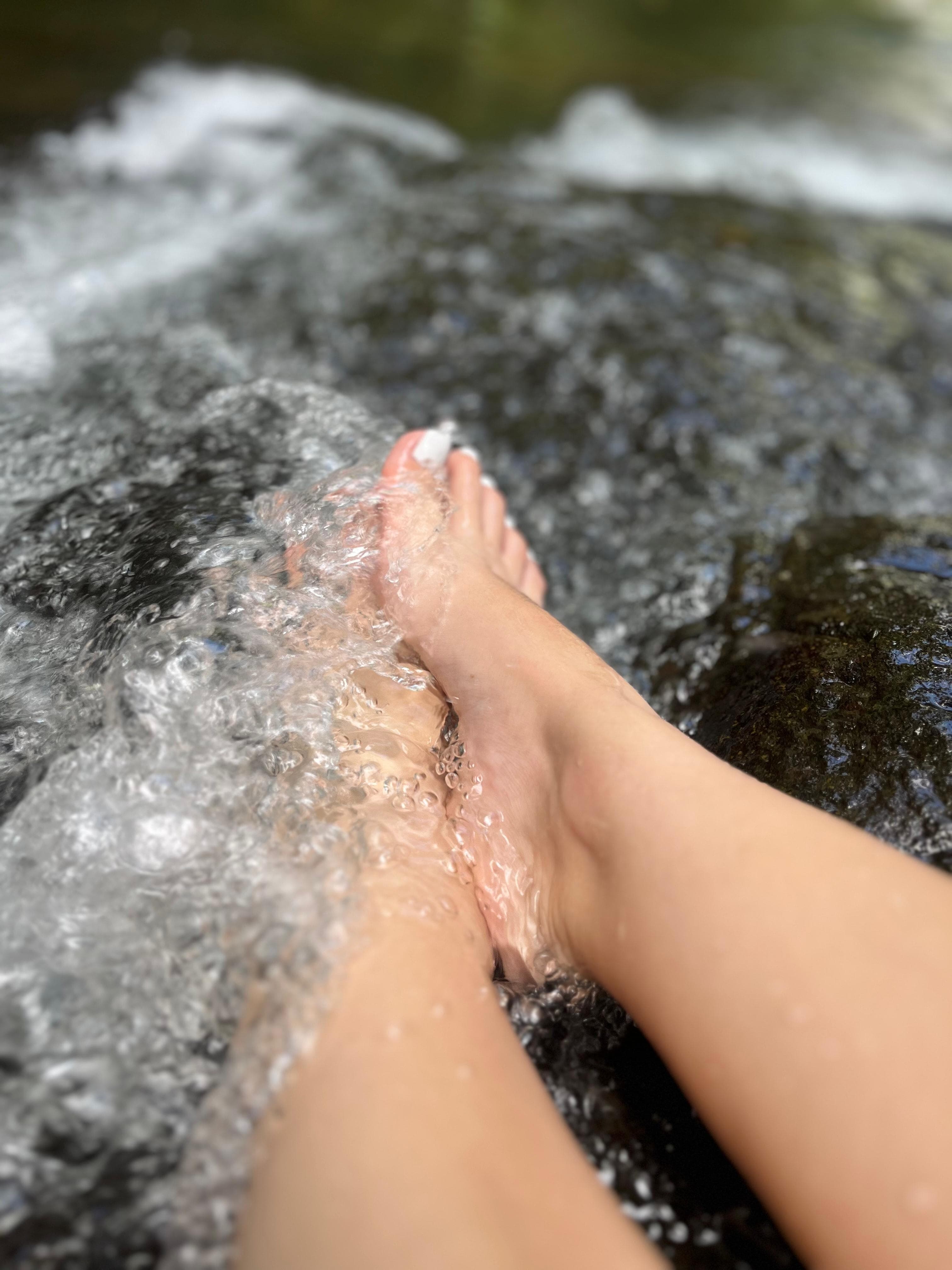 WILD FEET banner image