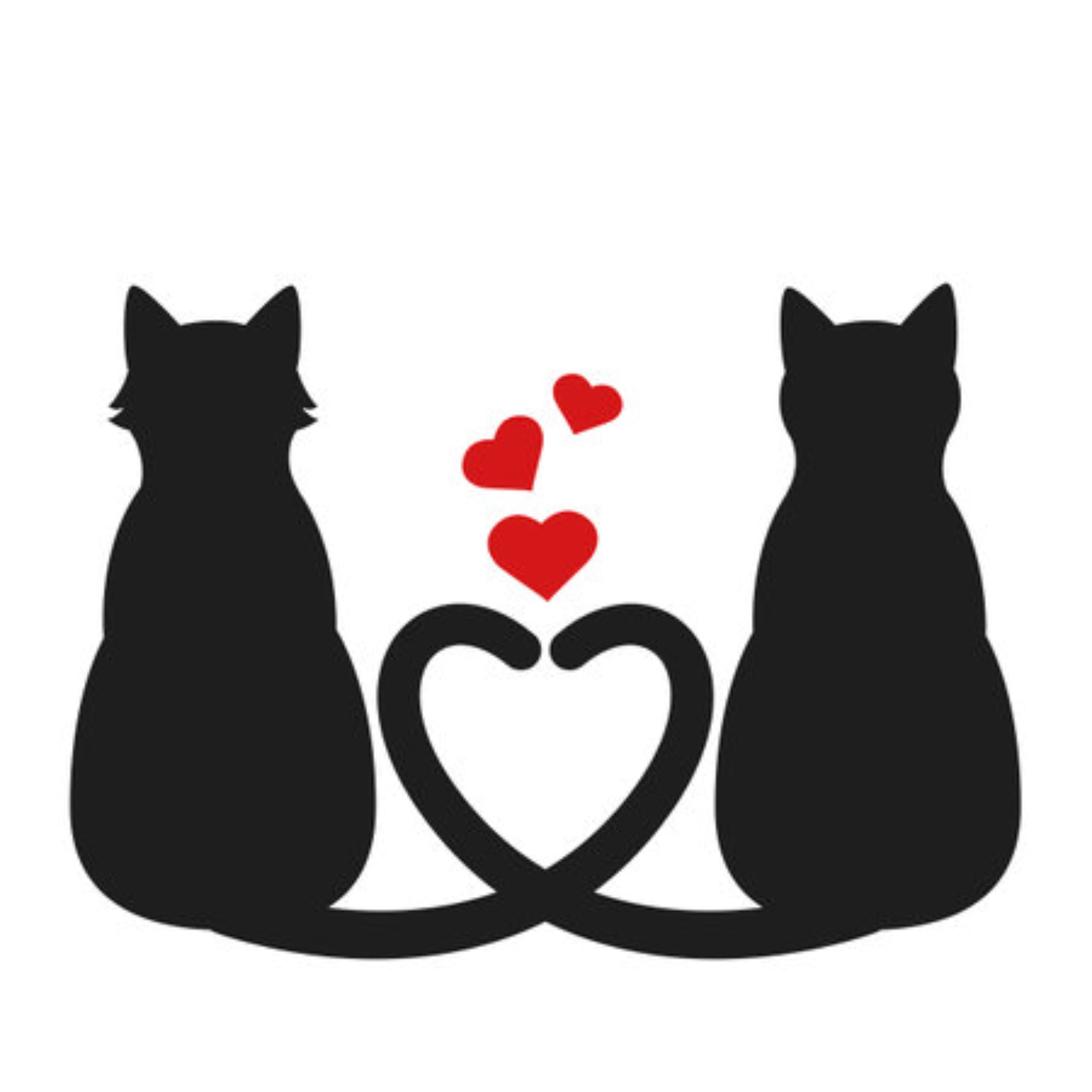 Tu gordita bb banner image
