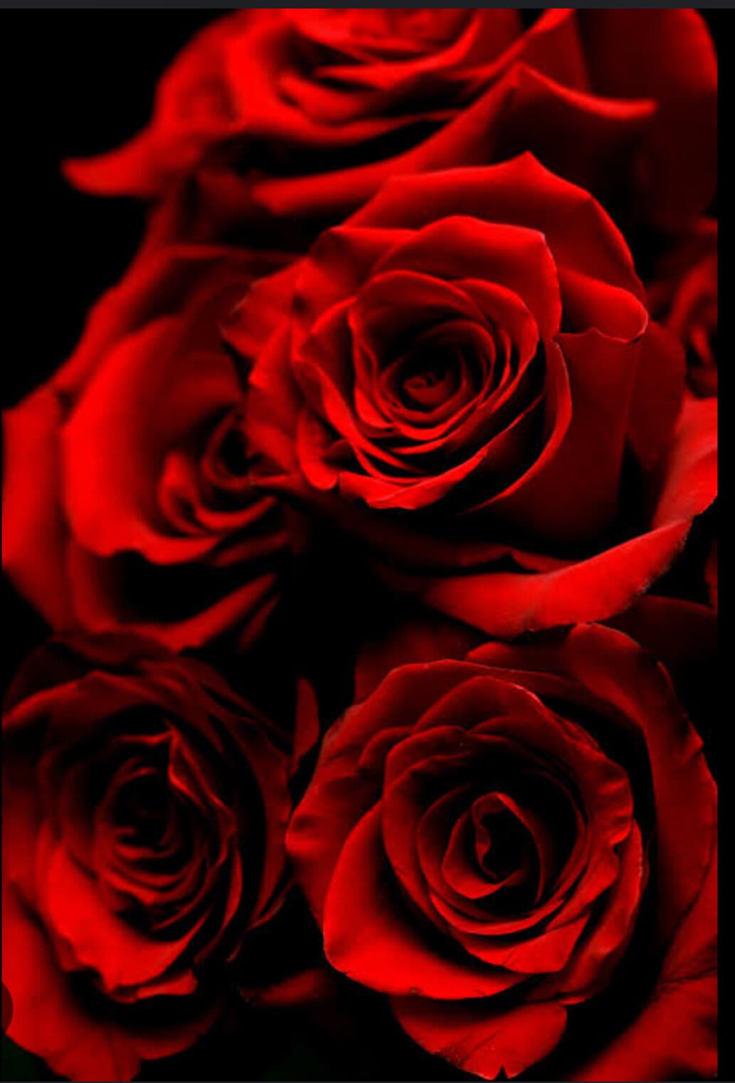 Natasha Rose banner image