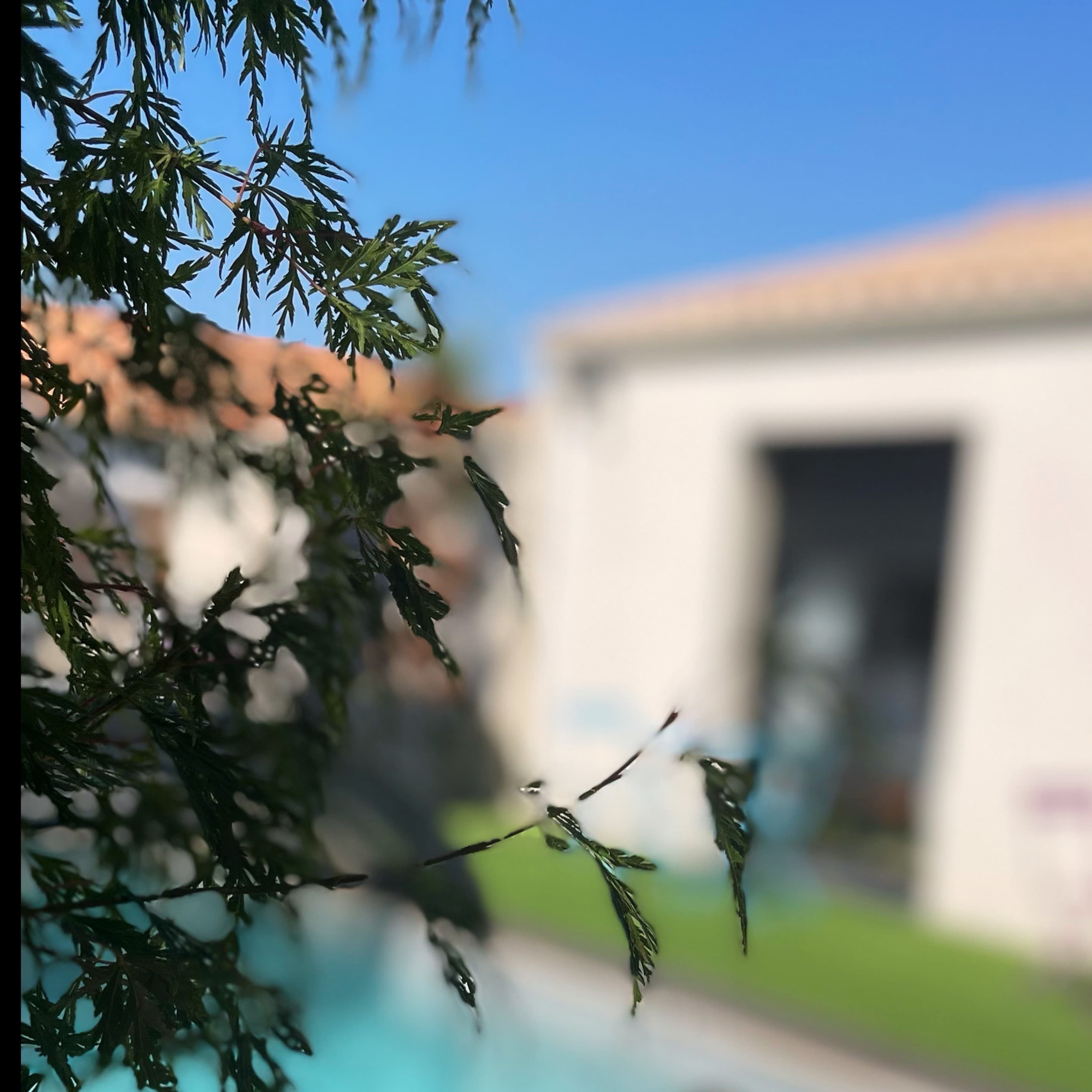 Preeetty Feet banner image