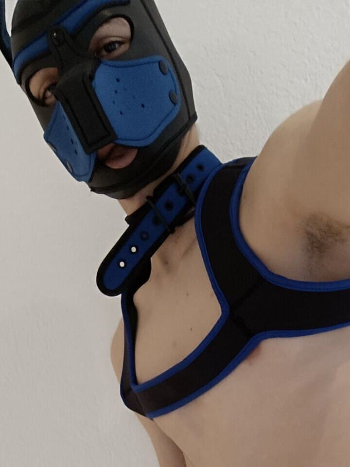 Luca banner image