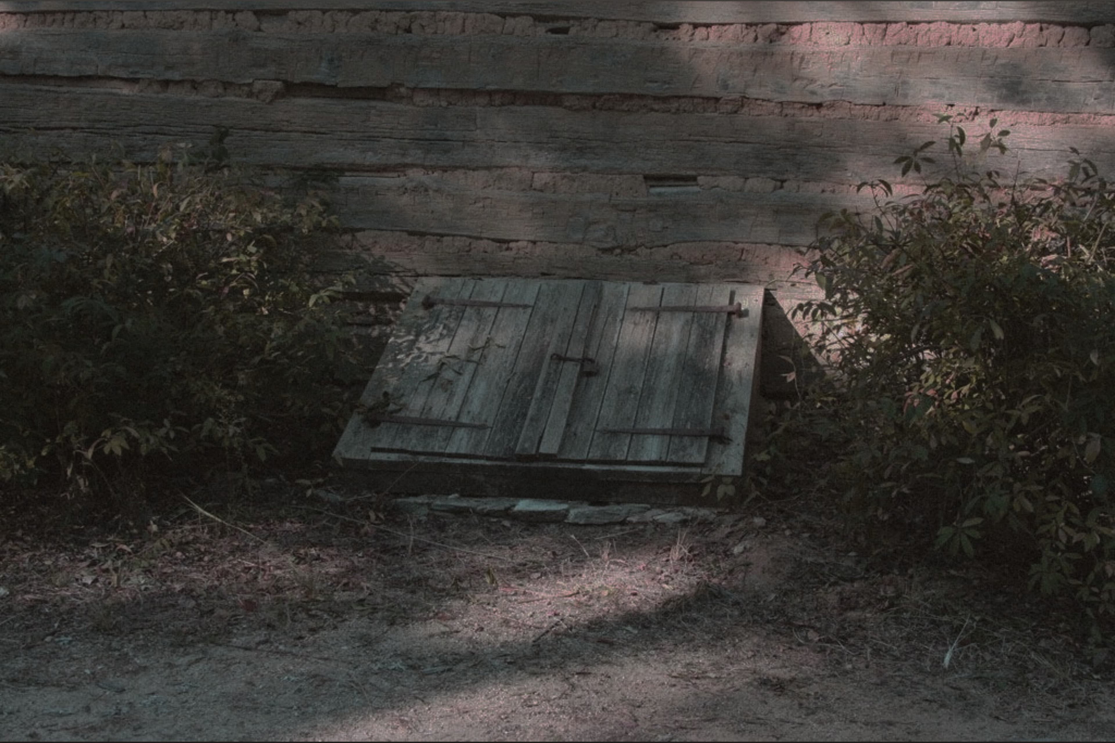 𖤐 jade’s place 𖤐 banner image