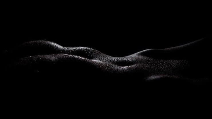 Velvetvixen banner image