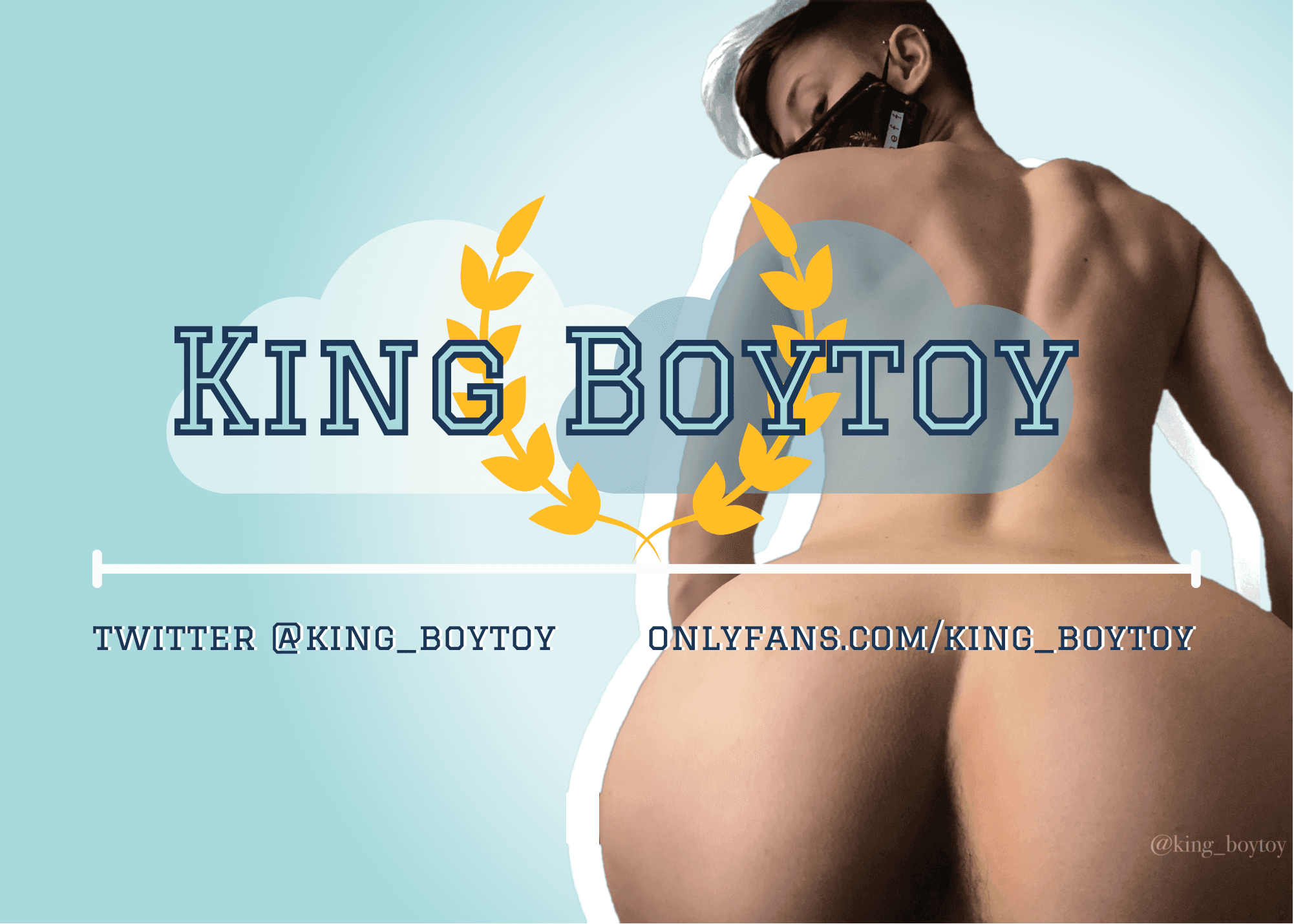 king boytoy ๐ banner image