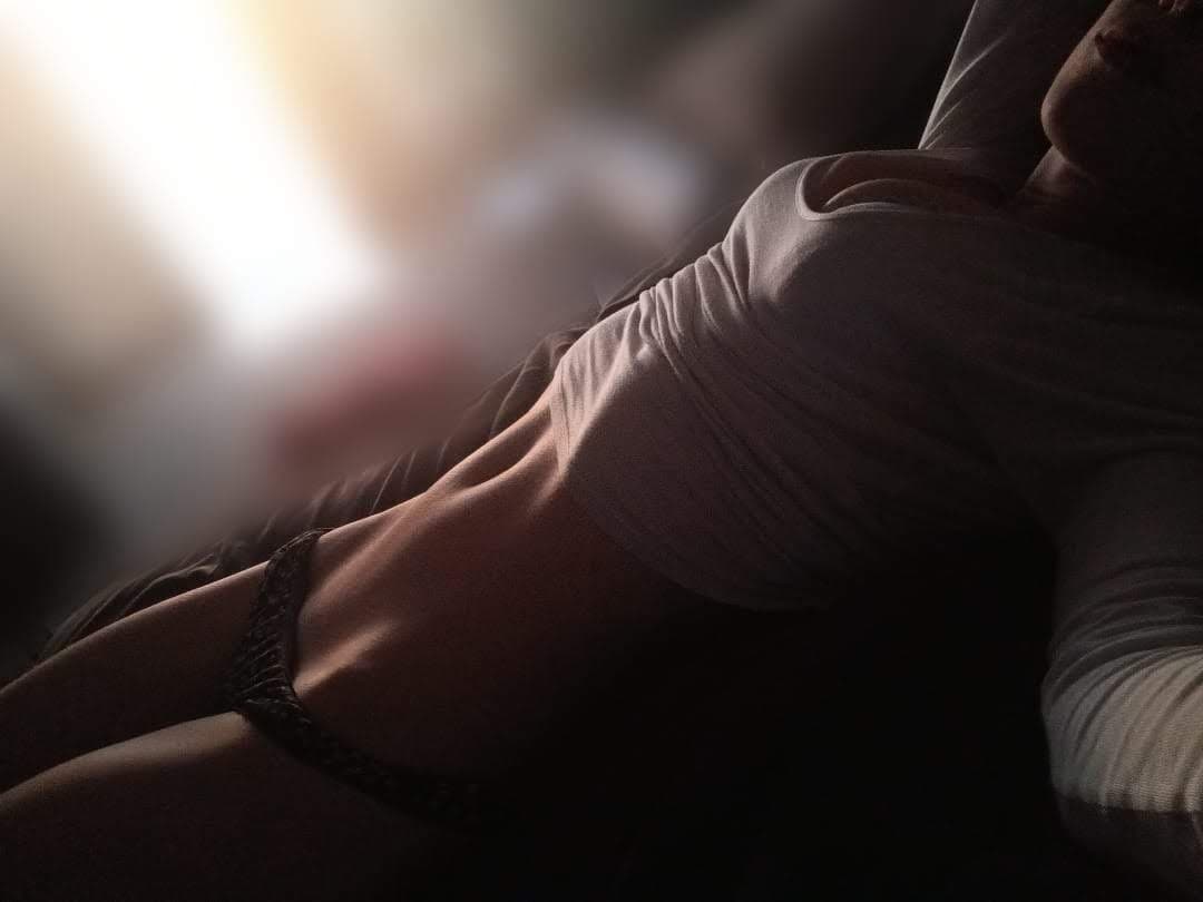 Naughty kitty banner image