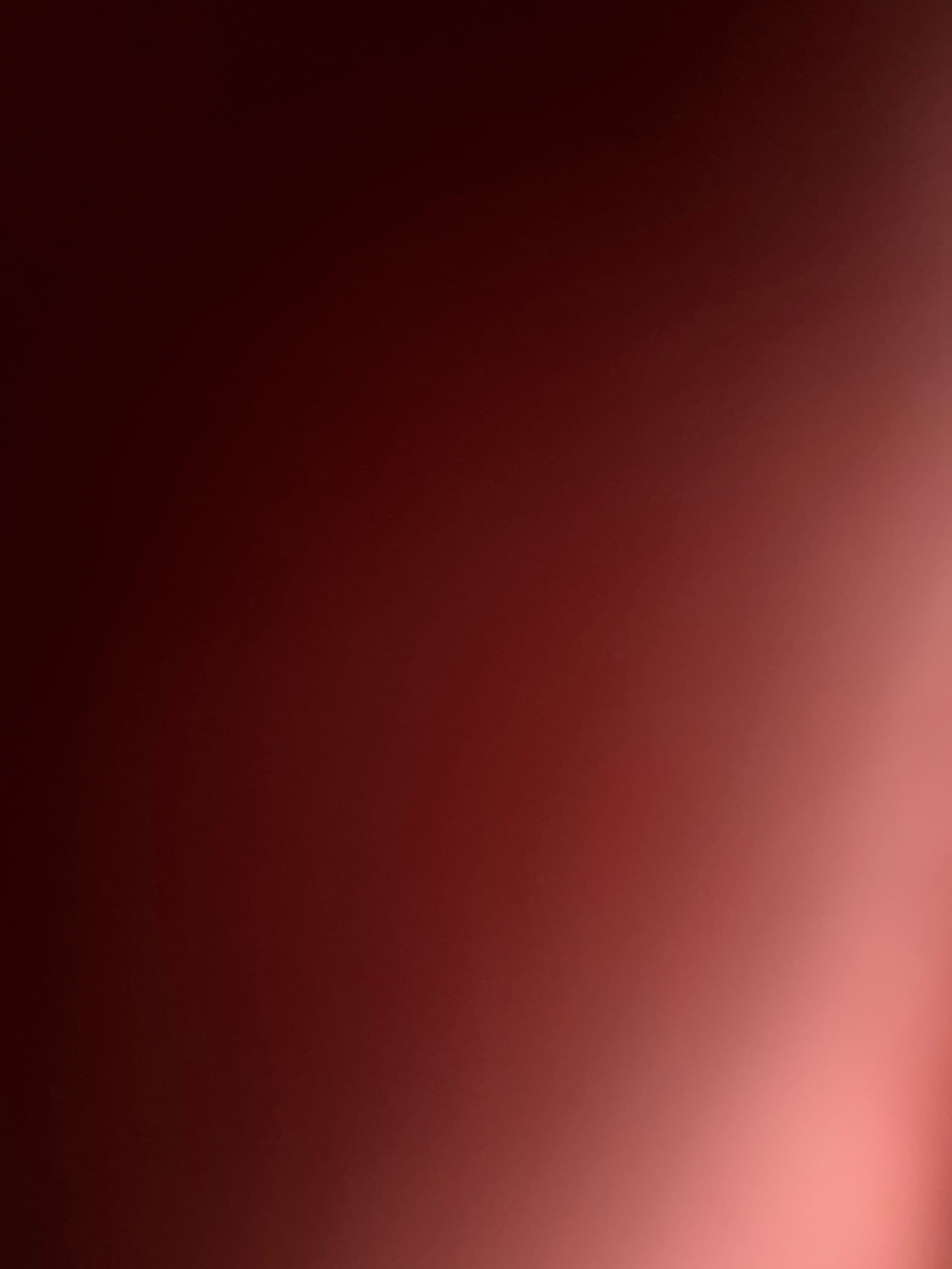 Next Lady banner image