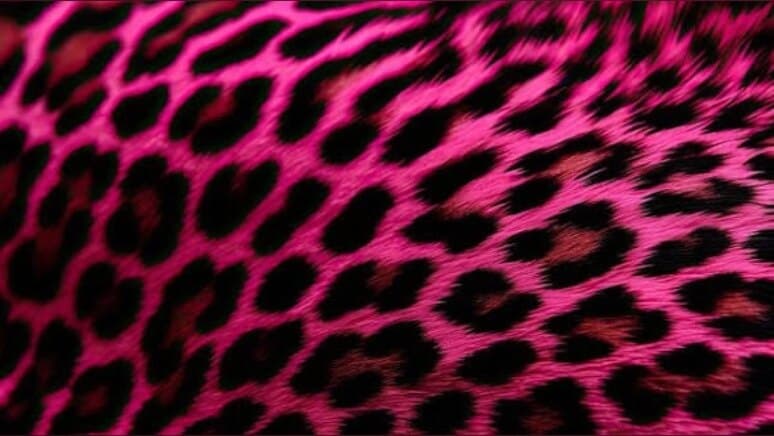 Honii Dipp ๐ฏ banner image