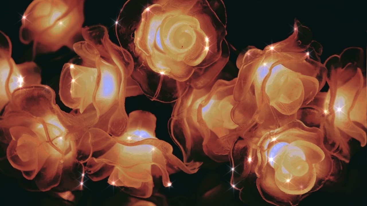 OliveNight banner image